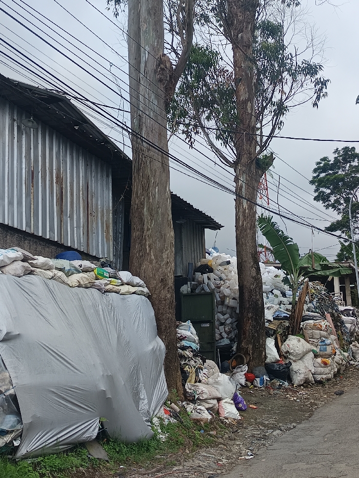 A roadside scene shows an accumulation of garbage. Covered piles and sacks overflow with discarded materials near a corrugated metal structure and two tall trees. The untidy setting suggests a potential issue with waste management. Overhead power lines extend across the overcast sky. A banana tree and other greenery are interspersed with the litter.