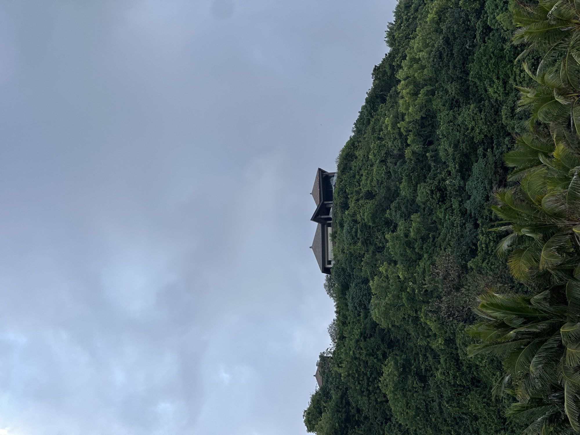 The image shows a lush, tree-covered hillside in Kuta Selatan, Indonesia. At the crest of the hill, two modern houses with dark tiled roofs are visible, nestled amongst the dense greenery. The sky above is overcast with pale gray clouds. In the foreground, the fronds of several palm trees are visible, suggesting a tropical setting. The scene appears serene and undisturbed.