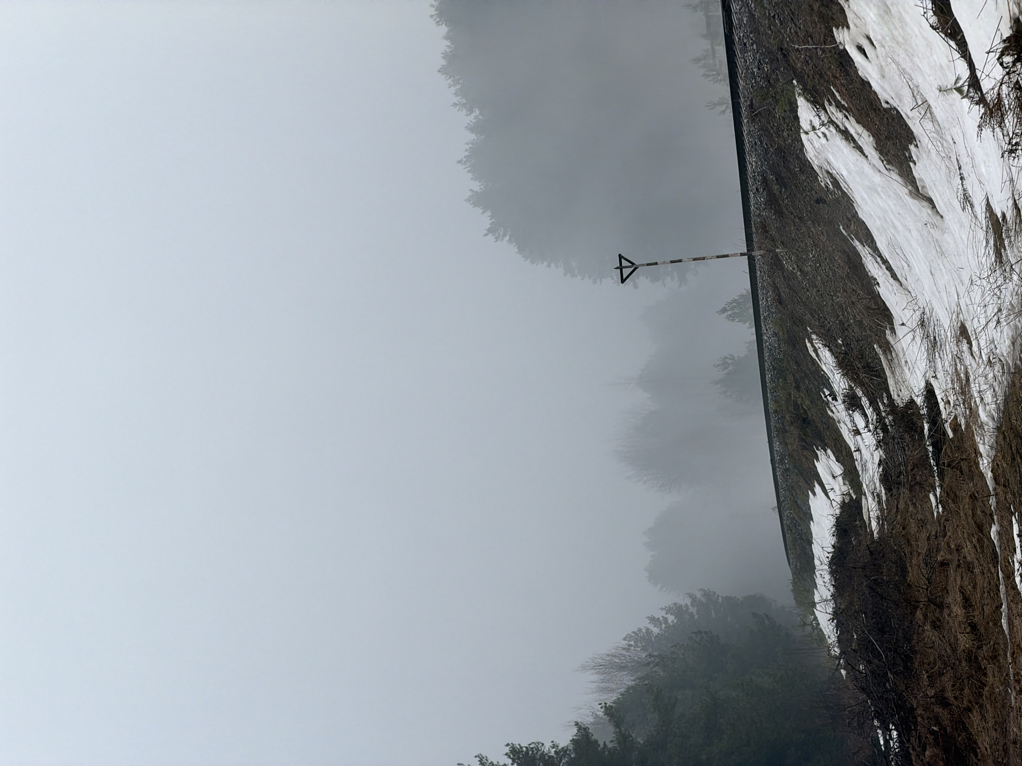 The image shows a foggy landscape with trees and a wall covered in snow. A black and white striped arrow-shaped marker is visible in the center of the image. Based on the prompt, this is likely located in Chaikovsky, Russia.