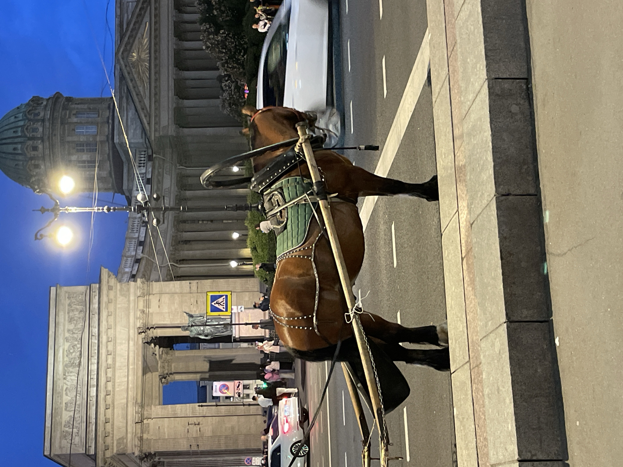 The image depicts a brown horse harnessed to a carriage, standing on a street at twilight in front of the Kazan Cathedral in Saint Petersburg, Russia. The horse is positioned in the foreground, facing left, with its head turned slightly towards the viewer. It wears a green saddle pad and a leather harness. Behind the horse, a white car drives by. In the background, the grand facade of the Kazan Cathedral, with its colonnade and dome, is visible, illuminated by streetlights. Several people are also seen walking and standing on the sidewalk and near the cathedral entrance. The sky is a deep blue, indicating it is early evening. The scene captures a blend of historical architecture and modern urban life.