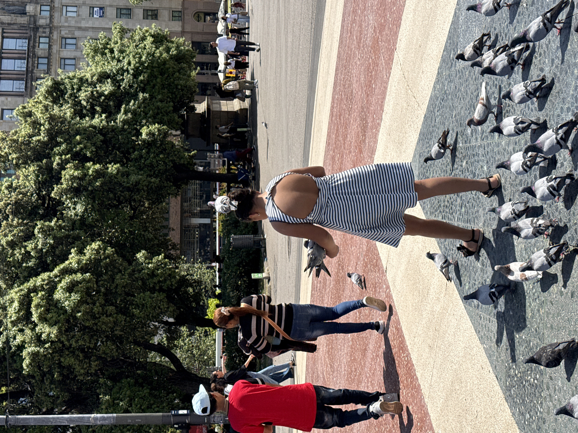 The image depicts a sunlit outdoor scene, possibly a plaza in Barcelona, Spain, based on the architecture and color palette. The ground is tiled with alternating bands of red, white, and dark gray stone. In the foreground, a woman in a blue and white striped dress and black sandals stands among a flock of pigeons, some of which she seems to be feeding, as one pigeon is perched on her hand. A second woman, with long brown hair, is wearing a striped long-sleeved shirt and jeans. A man in a red shirt, jeans, and a baseball cap, is partially visible. Several other people are walking through the plaza. A large, leafy green tree provides shade on the left side of the image. A building with multiple stories and rows of windows is visible in the background.