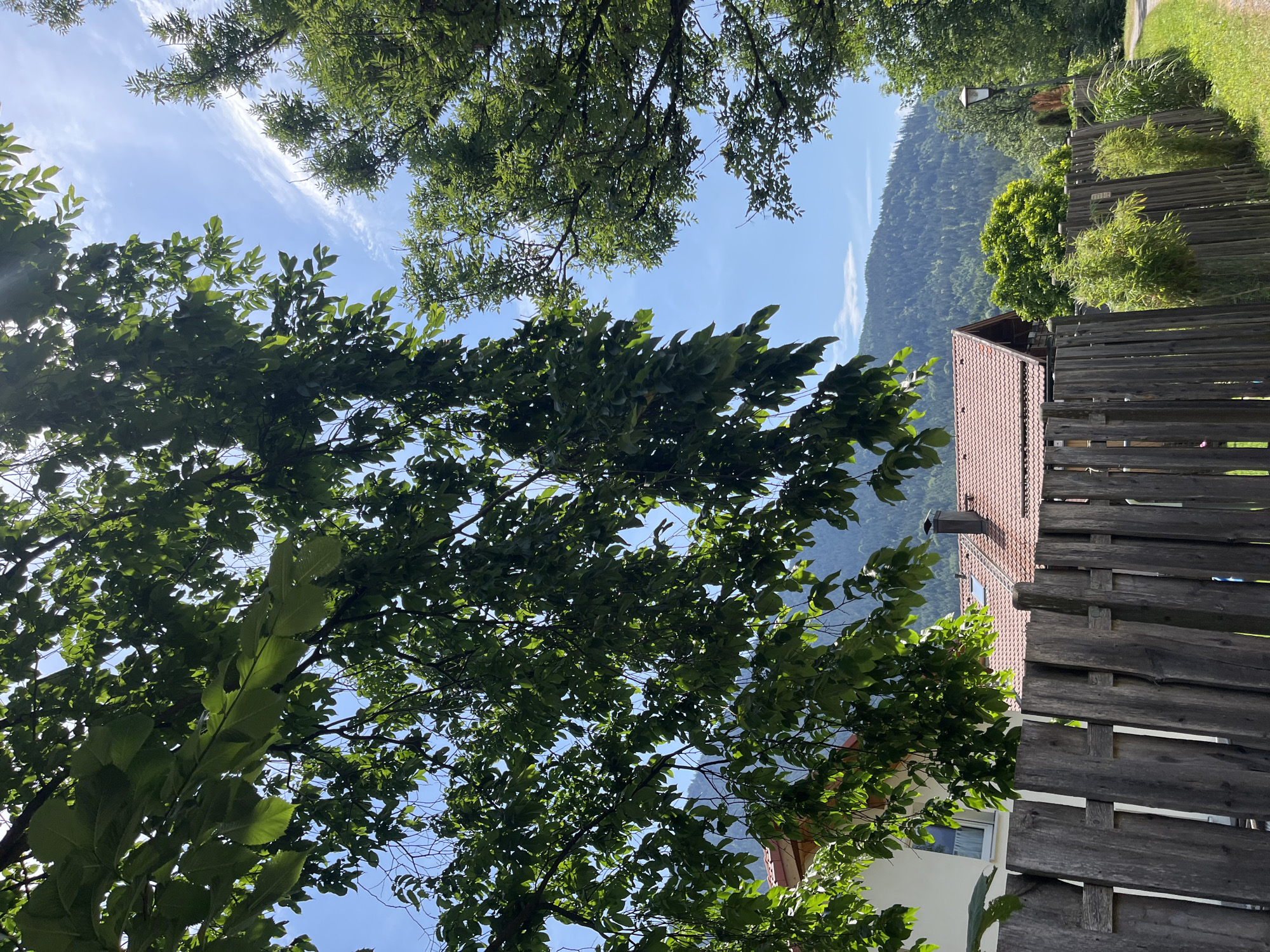 The image depicts a rustic wooden fence in the foreground, separating a residential area from a natural landscape. Behind the fence, a white house with a window is partially visible on the left, with a brown-tiled roof and a chimney on a neighboring building to its right. Lush green trees with dense foliage dominate the upper portion of the frame, casting dappled sunlight and obscuring a clear view of the sky, which is a bright blue with scattered wispy clouds. In the background, a verdant mountain range covered in trees rises majestically, suggesting a location in or near Garmisch-Partenkirchen, Germany, known for its alpine scenery. The overall impression is one of a tranquil, rural setting, bathed in bright daylight. There are no people or animals visible in the frame.