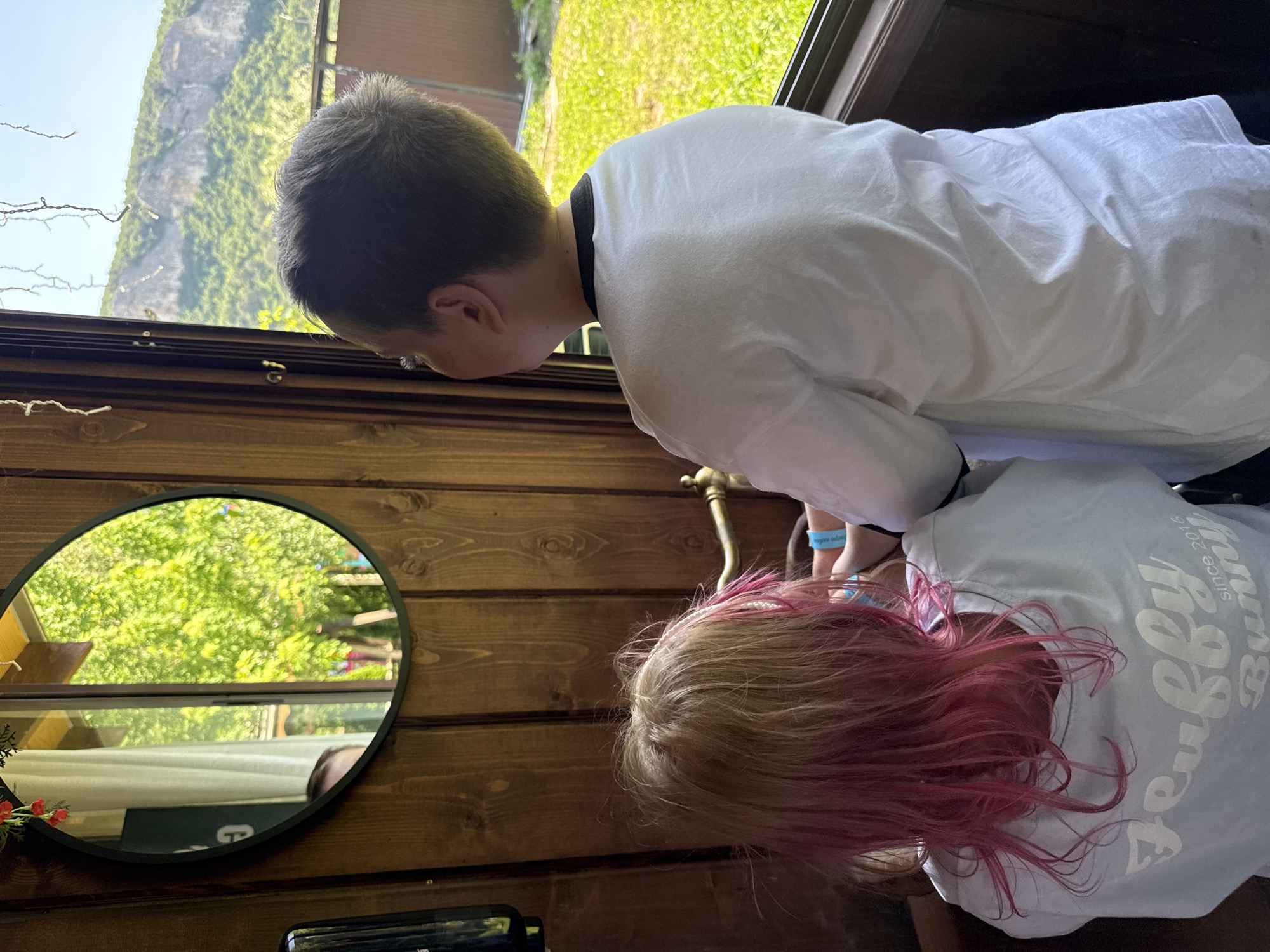 The image displays two children within a rustic wood-paneled interior, positioned in front of a window and a wall-mounted fixture. To the left, a child with shoulder-length, messy blonde hair, dyed pink at the ends, is seen from the back, leaning forward. They wear a light blue t-shirt with "Feuffy Bunny since 2016" printed in white script on the back. Their hands are near a brass-colored curved handle or faucet mounted on the wooden wall. To the right and slightly taller, a second child with short, closely cropped dark hair is also viewed from behind, wearing a plain white t-shirt with a black collar band. This child is looking out the adjacent window.
The interior walls are constructed of vertical wooden planks with visible grain. A circular mirror on the left wall reflects a brightly lit outdoor scene featuring dense green foliage, with a partial view of a white curtain and a section of what appears to be a person's head near the bottom edge of the reflection. Above the mirror and to the far left, small red artificial flowers and some string lights hang from an unseen fixture. A dark, possibly wall-mounted soap or sanitizer dispenser is visible on the far left edge of the frame.
Through the window, a clear view of a bright outdoor environment is present. A vibrant green grassy area is visible in the foreground, transitioning to a light brown fence or structure. In the background, a large, distant mountain range dominates the horizon under a clear blue sky. The mountains exhibit visible rock faces interspersed with green vegetation, suggesting a natural, possibly rugged, landscape.