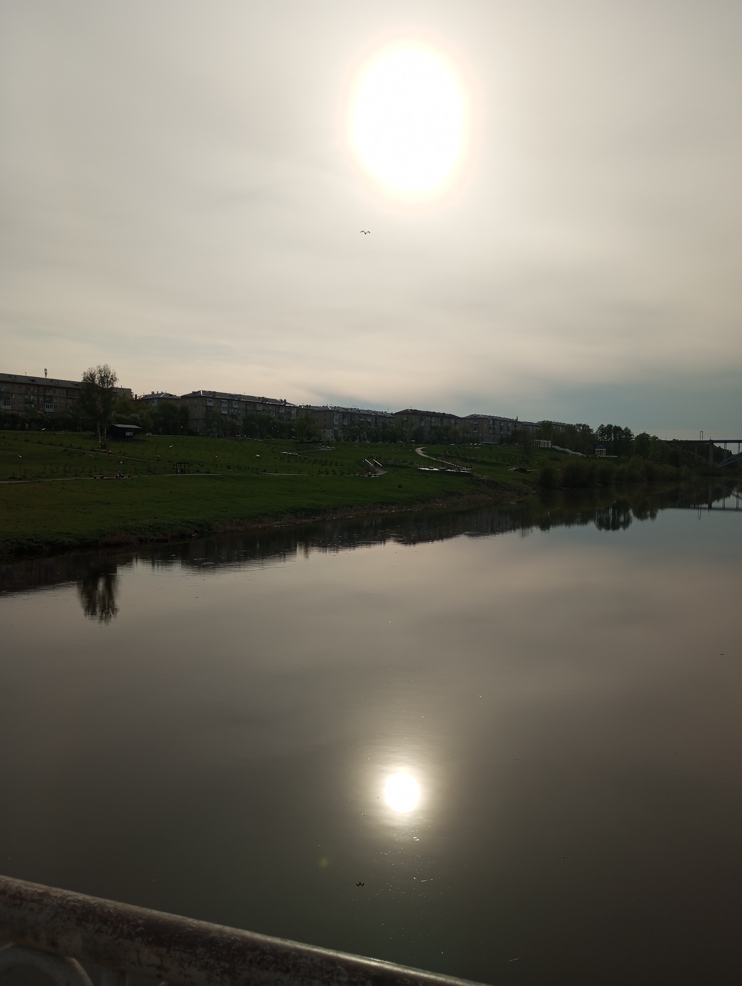 The image shows a river scene in Kamensk-Uralsky, Russia. The river is calm and reflects the bright sun, which is high in the sky. On the far bank, there is a grassy park leading up to a row of residential buildings. A bridge is visible in the distance to the right. In the sky, there's a bird flying near the sun. A metal railing is partially visible in the foreground at the bottom of the image.
