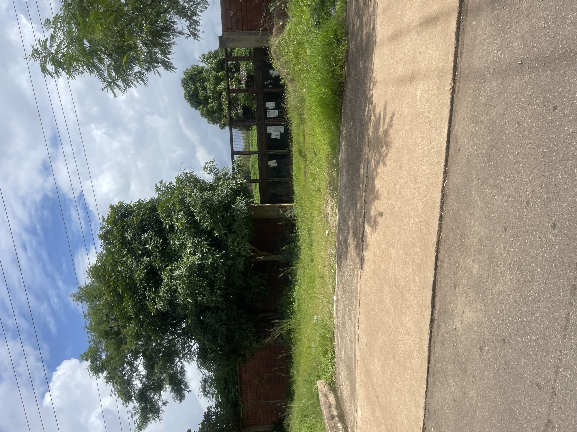 In Barakin Lerawi, Nigeria, this image captures an outdoor scene featuring a large, leafy tree in the foreground, casting shadows on a light-colored paved area. Behind the tree, a rusty metal gate with a wire mesh top stands open, providing a glimpse of an area with more vegetation and a brick wall. Several sheets of paper are attached to the gate. A portion of a concrete curb is visible on the left, and the ground is covered in dry grass and some scattered white debris. The sky above is a mix of blue and white clouds, with power lines strung across it.