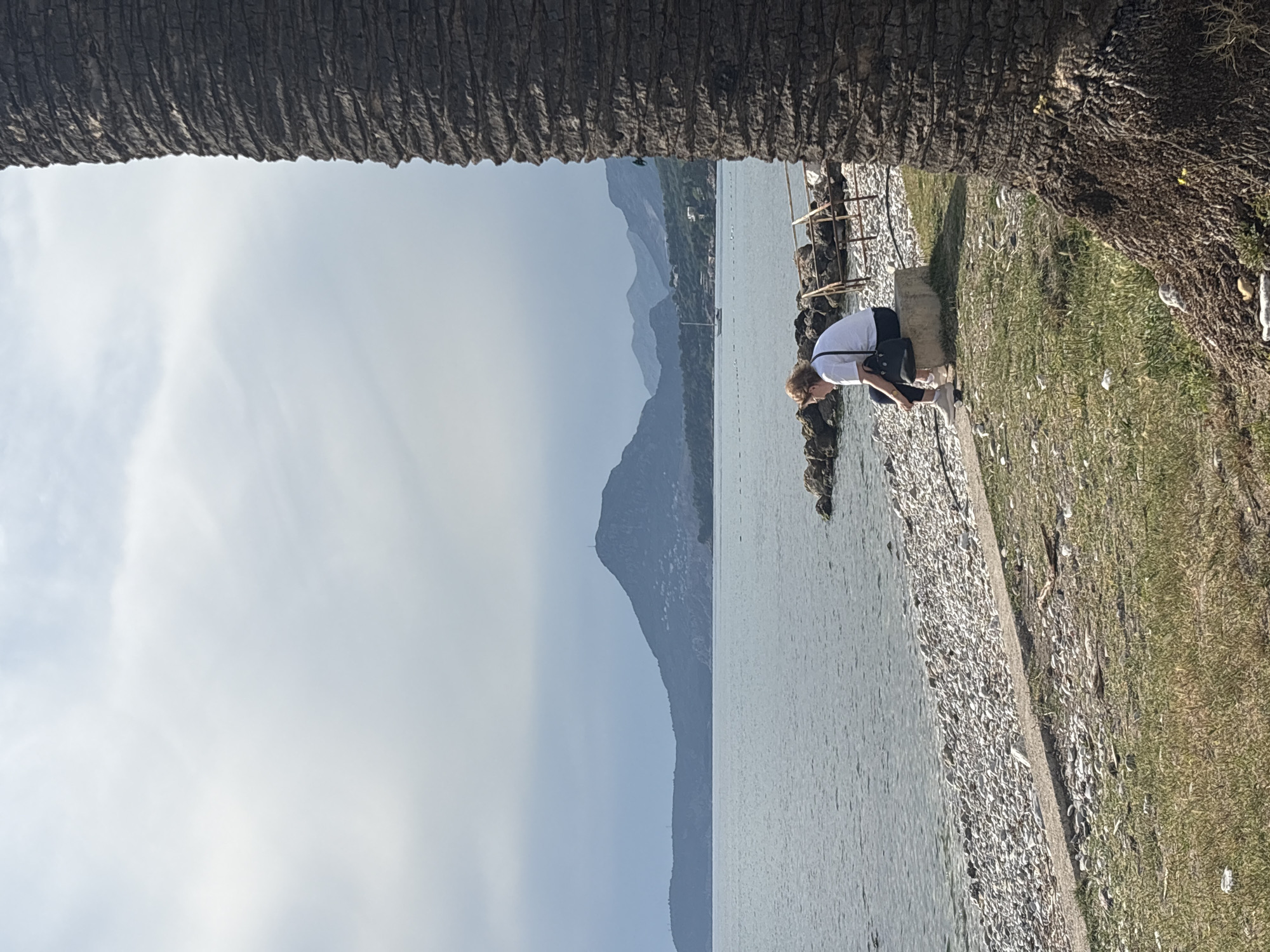 An elderly woman is sitting on a stone bench near the shore in Bar, Montenegro. She is wearing a white t-shirt, black pants, and white sneakers. She has a dark handbag hanging on one shoulder and is looking down. The shore is covered in small white stones. To the right is a grassy area. Behind the woman is the Adriatic Sea, and in the background are mountains under a cloudy sky. A tree trunk frames the top of the image.