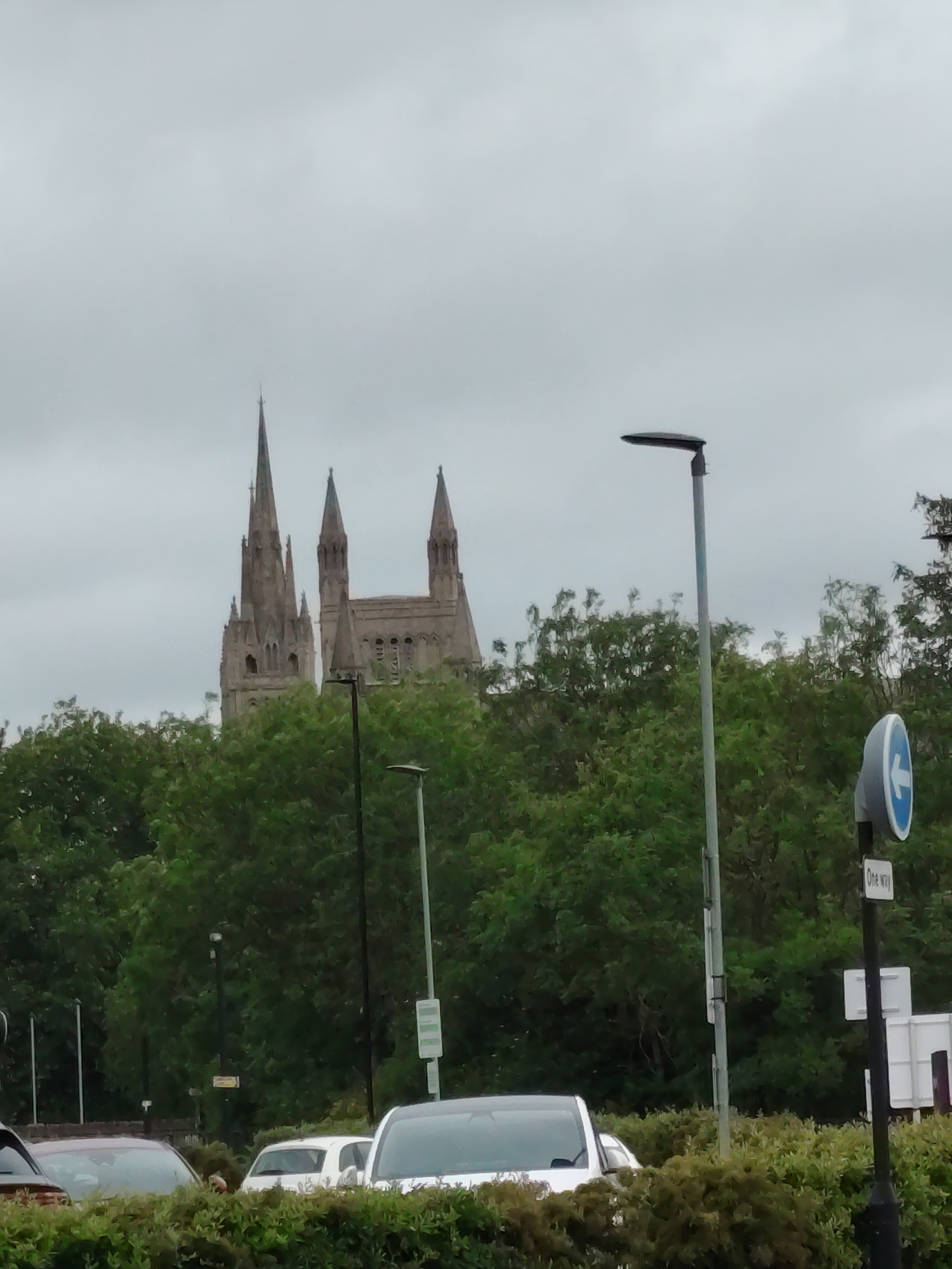 The image captures a street-level view dominated by the distant spires of Peterborough Cathedral under an overcast, light grey sky. The cathedral, a large stone structure, features a prominent tall, slender spire on the left, flanked by two shorter, broader spires to its right, consistent with its Gothic architectural style.
The midground is filled with dense, vibrant green foliage from numerous trees, obscuring the lower portions of the cathedral and creating a thick band of greenery across the scene.
In the foreground, a row of neatly trimmed green bushes occupies the bottom edge. Above these bushes, the tops of several vehicles are visible: a dark-colored car on the far left, a white car in the center, and the front of another light-colored vehicle on the far right.
Two streetlights are present: a tall, dark grey pole with a horizontal, flat light fixture stands prominently on the right side, and a slightly shorter, lighter grey pole with a similar fixture is positioned further left. A blue circular "One Way" traffic sign with a white arrow pointing left is mounted on a black pole on the right side of the image, with a smaller white rectangular sign below it also indicating "One Way." No individuals or specific actions are visible in the scene. The overall lighting suggests an overcast daytime condition.