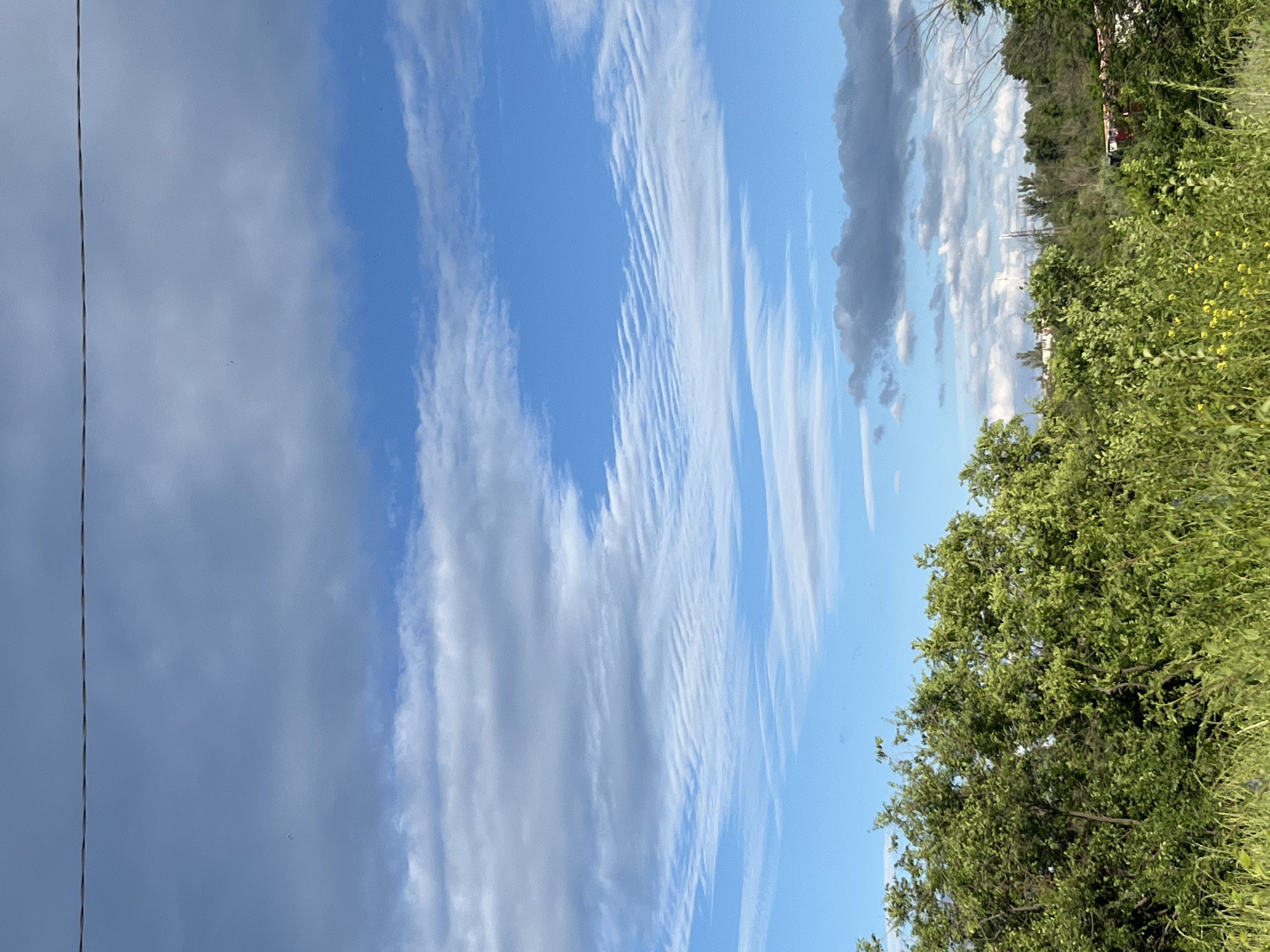 A medium-shot, eye-level, outdoor photograph captures a serene daytime scene with a vast expanse of sky dominating the upper portion and lush green foliage in the foreground. A thin, dark horizontal line, possibly a power line or wire, stretches across the top of the frame. The sky is a vibrant blue, adorned with layers of dynamic white and grey clouds. Towards the lower part of the sky, wispy, textured clouds create an impression of movement and depth. The lower half of the image is filled with dense, verdant greenery, including trees with full, leafy canopies and tall, wild grasses. Small yellow flowers are scattered within the grasses in the lower right quadrant. In the distance, beyond the immediate greenery, hints of man-made structures and trees are visible, suggesting a suburban or semi-rural environment. The overall impression is one of natural beauty under a dynamic sky. The location is Shyroka Dacha, Ukraine.