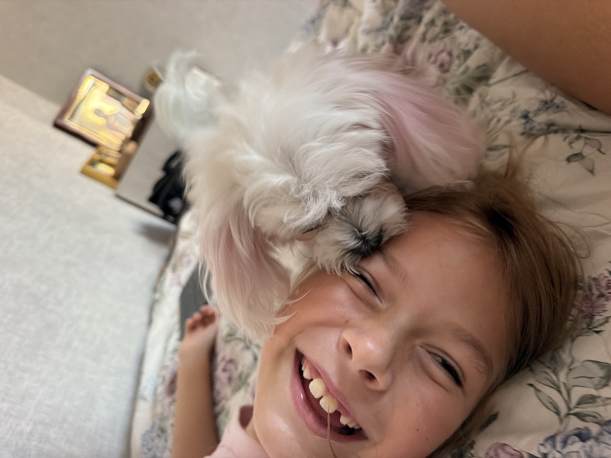 A young child is lying in bed with a small white dog resting on their head. The child is smiling widely, with their eyes closed and mouth open. They appear to be happy and playful. The dog is fluffy and white with pinkish-tinged fur. The child is wearing a pink shirt, and the dog is nestled into their hair. The background shows a floral-patterned bedspread and a blurry image of a framed picture on a dresser or shelf. The scene appears to be indoors, likely in a bedroom, and the time of day is unclear. The overall mood of the image is one of affection and warmth between the child and the dog.