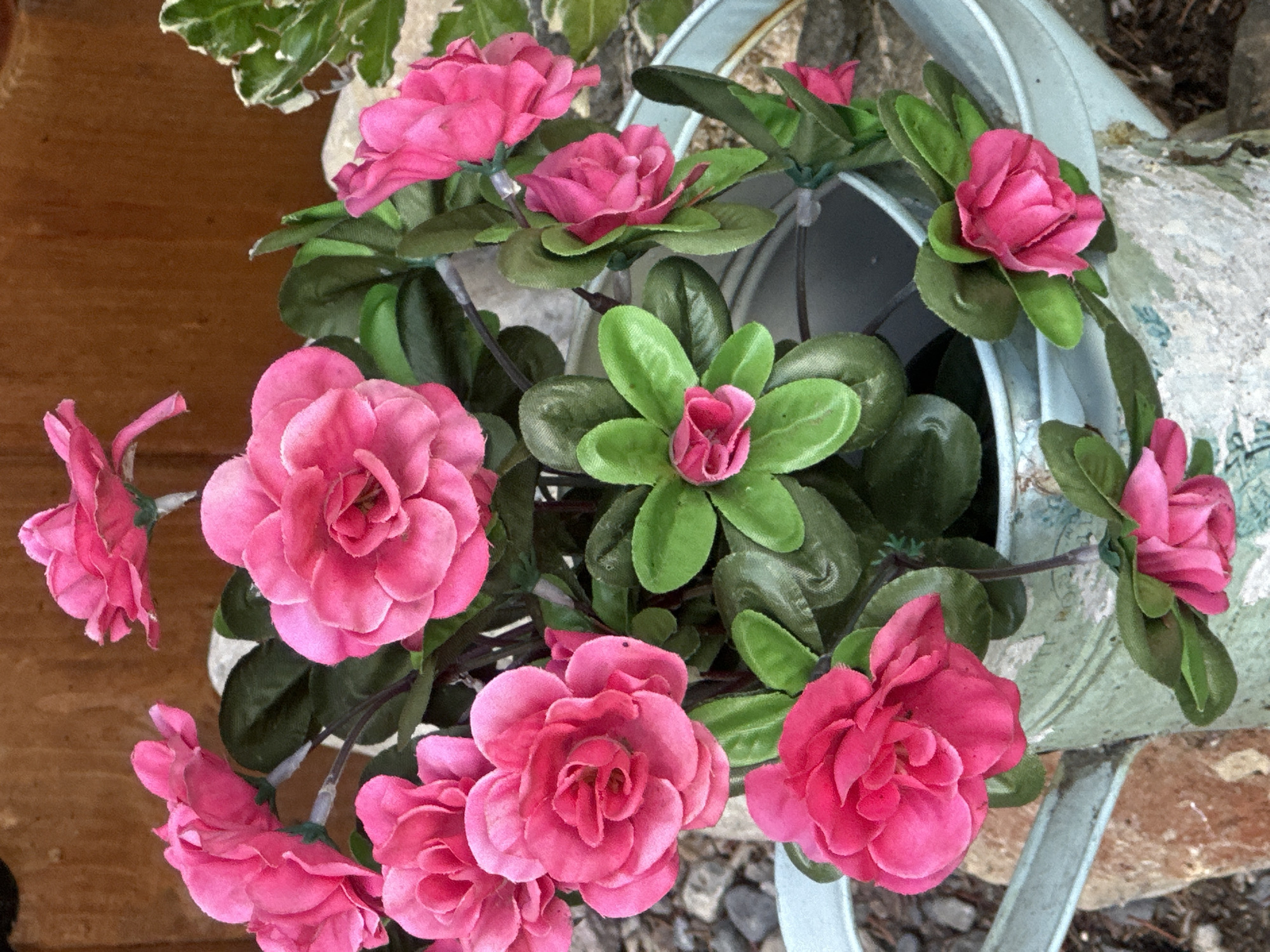 The image shows a close-up view of a bouquet of artificial pink flowers with green leaves, arranged in a pale blue watering can. The watering can appears weathered and has some decorative pattern visible. The flowers are vibrant pink and have a realistic texture, suggesting they are made of fabric or silk. The watering can is placed on a surface with visible stones and dirt, hinting at an outdoor setting. The background consists of a textured wooden surface, possibly a fence or wall, with some greenery on the right side of the frame. The image does not contain any information that would allow for determining its location in the city of Borno, Italy. There are no people or animals present in the image, and no actions or interactions are depicted. The scene is static and focuses solely on the floral arrangement within the watering can.