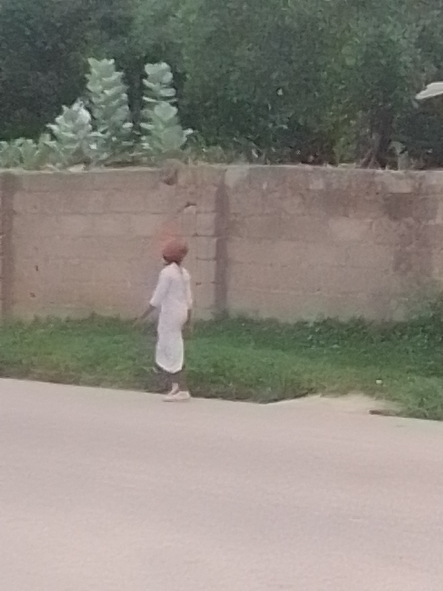 The image shows a person wearing a white robe and a brown turban, standing on a paved surface next to a grassy area. A stone wall runs horizontally behind the person, with vegetation visible above the wall. The scene is likely outdoors, in a location that could be Liji Hill, Nigeria, given the context. The person is facing away from the camera, appearing to walk or stand still. The lighting suggests it is daytime.
