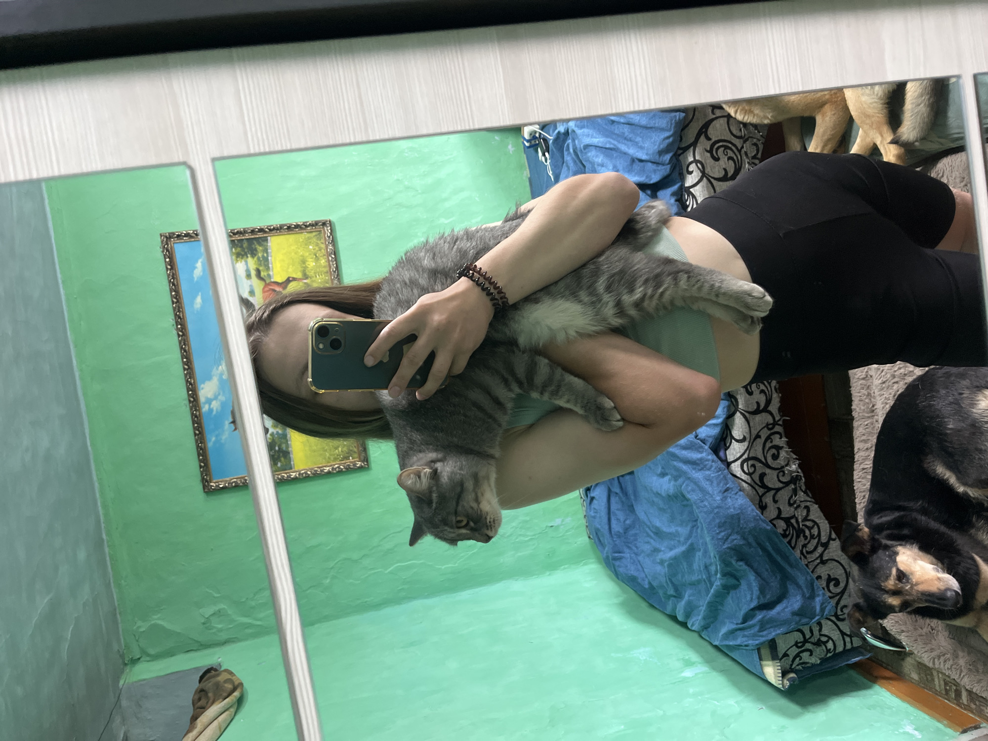 A young woman holds a grey tabby cat in her arms while taking a selfie in a mirror. The woman is wearing a light blue crop top and black shorts. The cat is looking to the left with its body facing forward. In the reflection, a black and tan dog is lying on a rug in the foreground. Behind the dog, there is a bed with blue and grey patterned covers. The walls of the room are painted a bright green and there are two framed pictures on the wall. The overall environment appears to be a bedroom in a residential setting. There is no indication of the location being Nizhny Tagil, Russia.