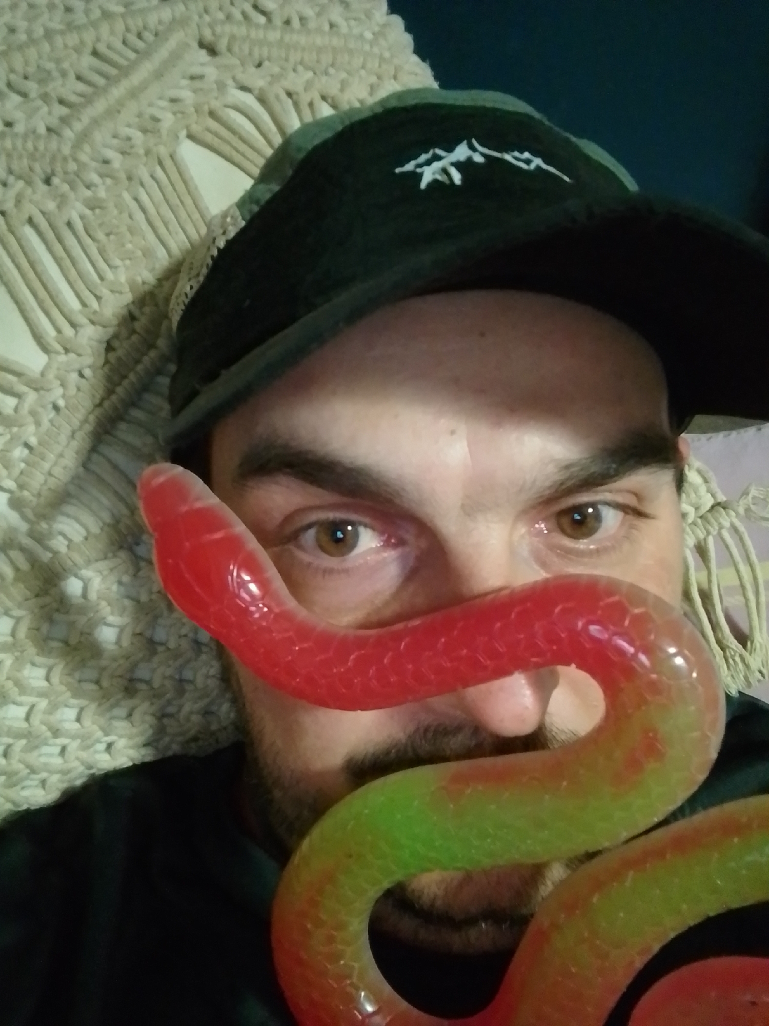 A man wearing a dark green baseball cap with a white embroidered mountain range is holding a red and green snake-shaped gummy candy across his face, obscuring his mouth and nose. The gummy candy appears to be translucent and has a textured surface. The man has brown eyes and a light brown beard. He is wearing a black shirt. The background consists of a cream-colored macrame wall hanging. The scene is indoors. There is no indication of the location in Wedel, Germany.