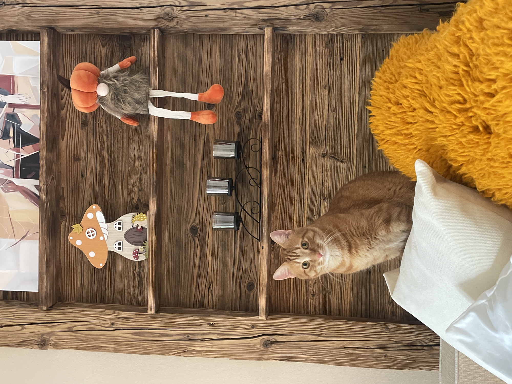 A high-angle shot displays a wooden shelf unit against an off-white ceiling. On the left side of the unit, there is an abstract painting and a decorative wooden mushroom house. A plush gnome-like doll with an orange head and limbs rests on the top shelf. Next to it is a candle holder with three glass containers. An orange tabby cat sits near a fluffy yellow pillow and a white pillow. The location is Unknown, Unknown.