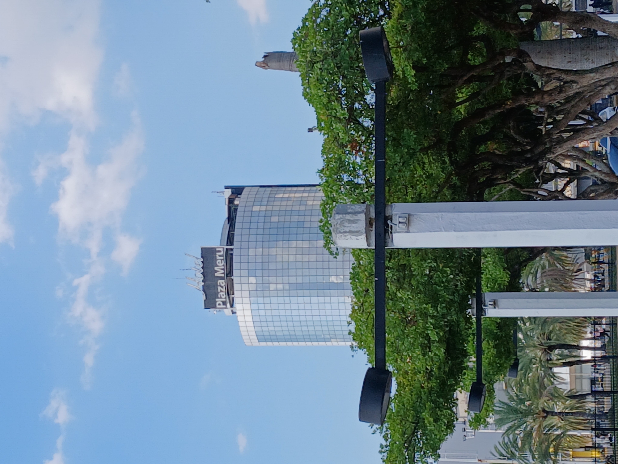 The image presents a bright, clear daytime urban landscape in Ciudad Guayana, Venezuela. A prominent feature is a modern, high-rise building with a reflective glass facade, occupying the mid-left portion of the frame. On its upper section, a sign reads "Hotel Plaza Meru."
Above and slightly to the left of this building, partially obscured by lush green foliage, a large, light-colored statue of a figure is visible, consistent with the "Cristo del Orinoco" monument.
The foreground and right side of the scene are characterized by abundant greenery, including mature trees with thick, gnarled trunks and branches, as well as several palm trees. Black streetlights are visible among the trees and infrastructure. The sky above is a clear blue with scattered white clouds. While no people are explicitly visible, the setting suggests a public urban area, possibly a square or main thoroughfare. The bright illumination indicates it is daytime.