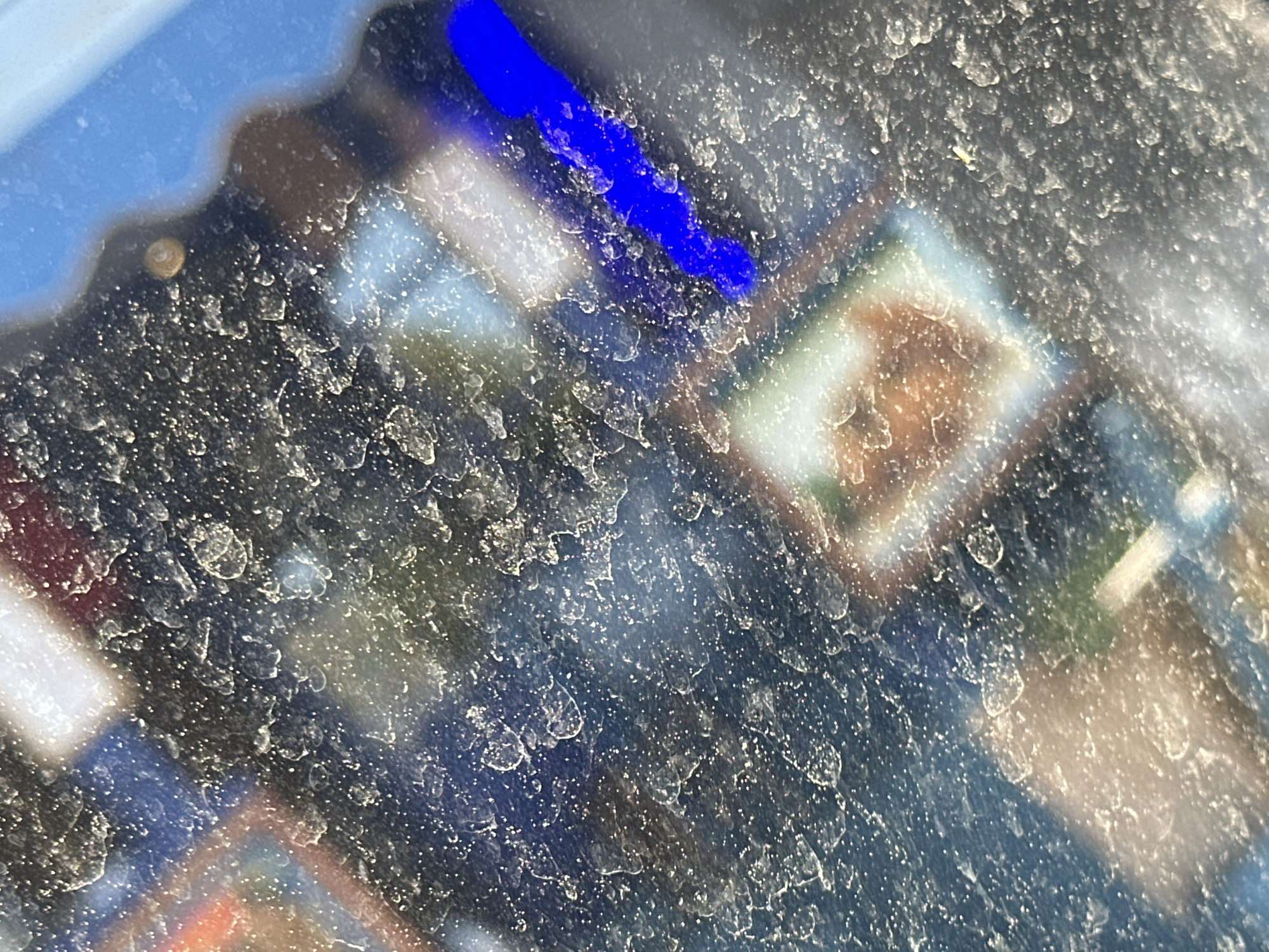 The media file presents a close-up, abstract view of a transparent or translucent surface, likely glass or plastic, heavily obscured by a dense accumulation of dust, dirt, and dried water spots. The individual dirt particles and water stains are highly detailed and illuminated by what appears to be bright sunlight, creating a textured, granular appearance across the entire frame.
Through this grimy surface, the background is visible as soft, out-of-focus blurs of color and light. A prominent feature is a bright, luminous blue streak, possibly an LED light, a painted object, or a reflection, which appears diagonally in the upper middle section of the original image and crops. Other blurred shapes suggest hues of light brown, green, and white, hinting at distant structures, foliage, or other environmental elements.
One specific crop highlights a small, light brown, roughly circular object, possibly a tiny snail shell or a similar natural accretion, attached to the dirty surface. No specific activity or event is depicted, making the image a static observation of a weathered object. The bright illumination suggests it is daytime. There are no discernible people or visible text. The context provided indicates the location is Fethiye, Turkey, although the image itself does not contain specific geographical markers for this identification.