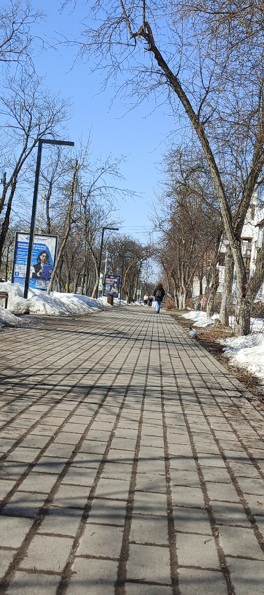 The image captures a pedestrian walkway in Chaikovsky, Russia. The walkway is paved with rectangular gray stones and is traversed by individuals. On either side of the walkway are snow banks, trees, light posts, and advertisement billboards. One person is walking away from the camera, and other people are walking in the distance. The sky is clear and blue. Shadows from the trees and light posts fall across the paved walkway. Buildings are visible on the right side of the frame.