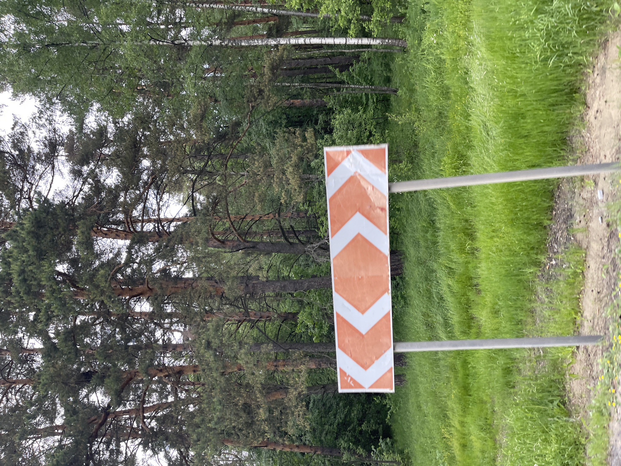 The image shows a vertical, rectangular road sign with orange and white chevron arrows pointing downwards. The sign is mounted on two horizontal metal bars. Behind the sign is a forest with various trees and green foliage. To the right of the sign, there is a grassy area and a dirt path. The location is Semyonovskoye, Russia.
