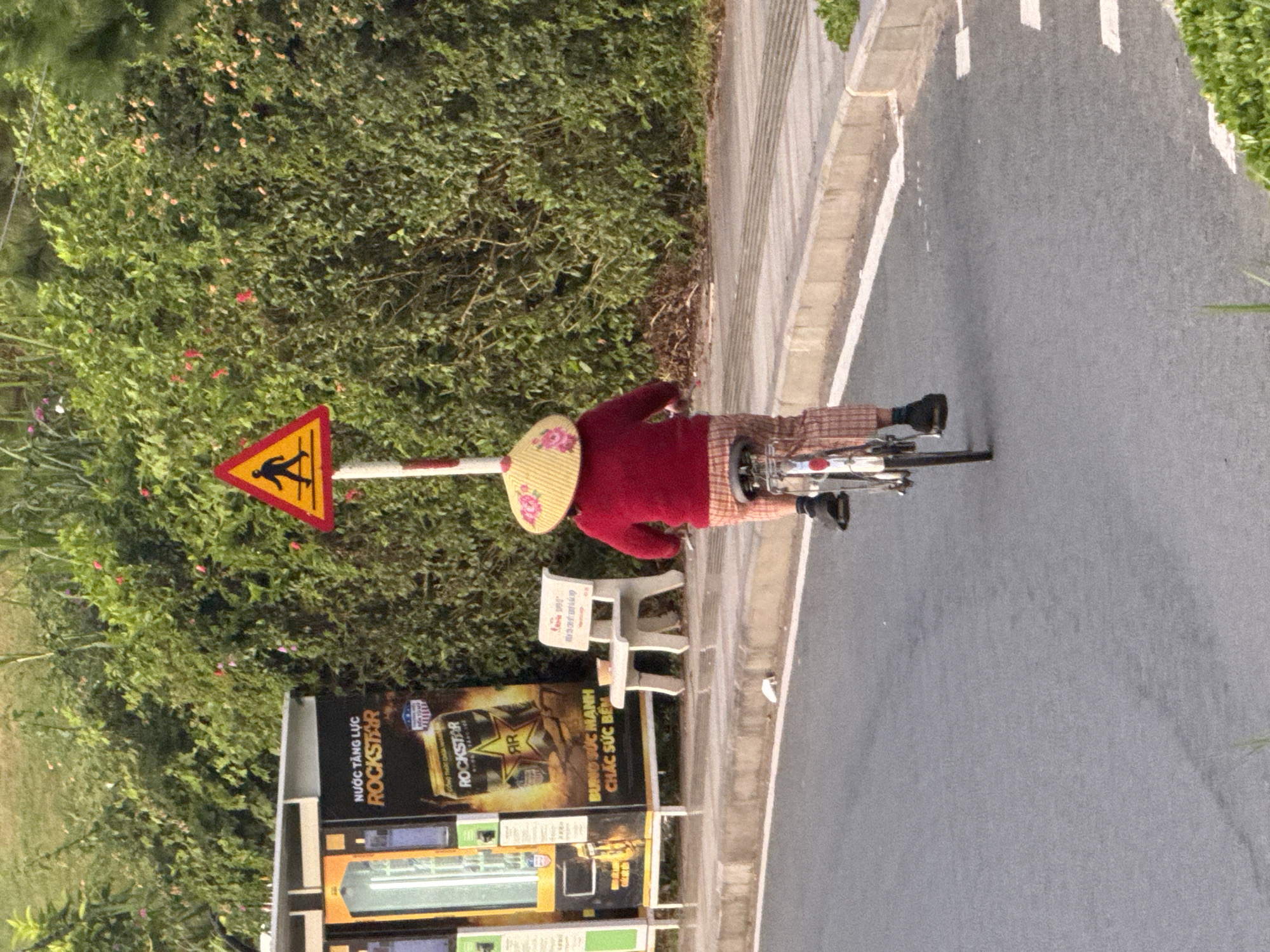 A person wearing a conical hat and a red shirt is riding a bicycle on a paved road. The person is seen from behind and is wearing plaid pants. The bicycle has a white frame and a red brake lever. The road is bordered by a sidewalk and a curb. Behind the sidewalk is a dense green hedge. To the left of the scene is a vending machine and a poster advertising Rockstar energy drink. A yellow pedestrian crossing sign is visible in the background. The environment appears to be a roadside in Da Lat, Vietnam, possibly near a bus stop or public area. The lighting suggests it is daytime, likely morning or afternoon.