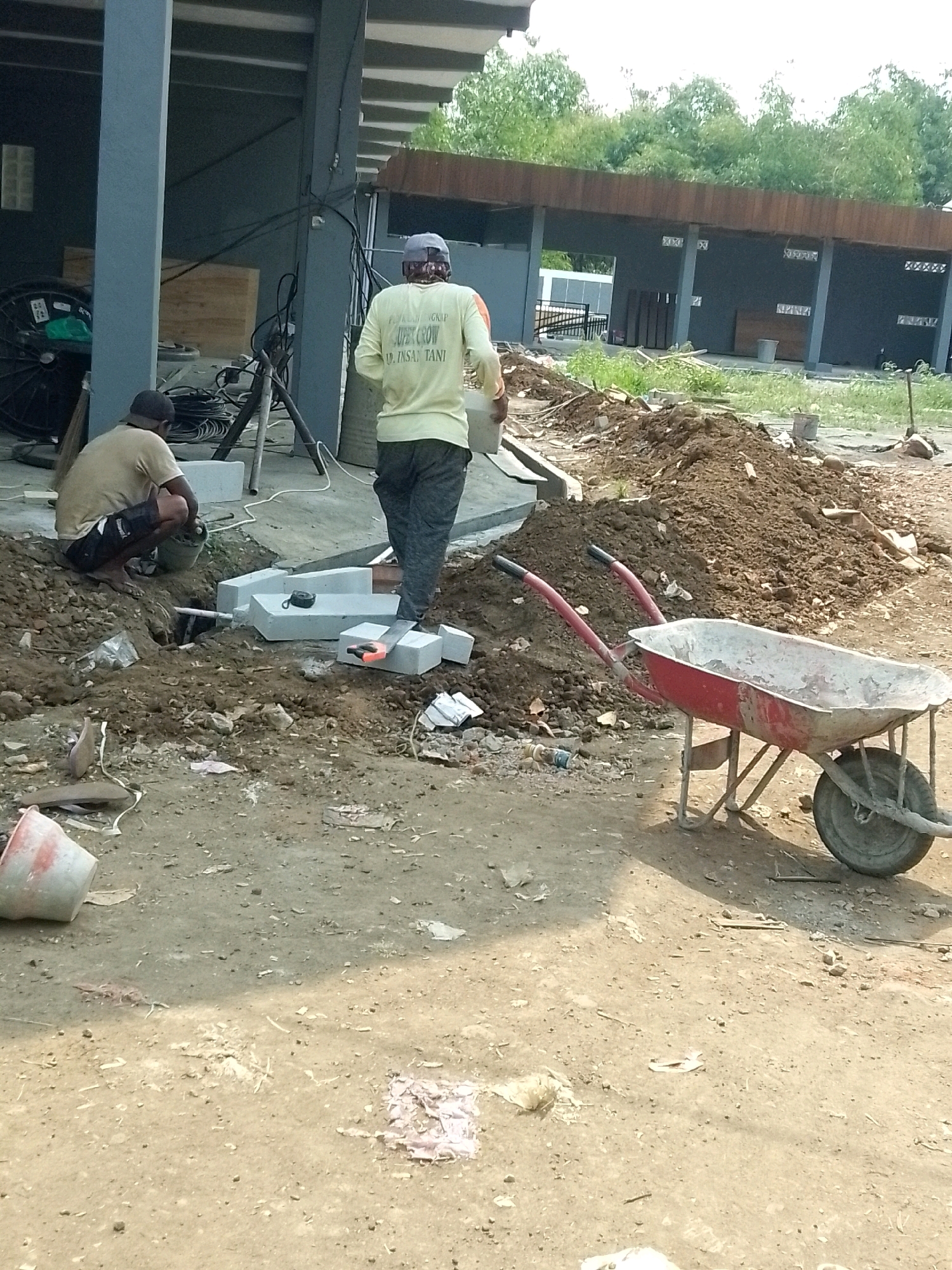 The image depicts an outdoor construction scene in Jember, Indonesia, likely in a semi-urban or industrial area given the building structures and the presence of construction materials. In the foreground, a red wheelbarrow with a worn metal basin is parked on a dirt and gravel surface. Behind it, a pile of excavated dark brown soil is visible.
Two individuals are present. One person, wearing a light-colored long-sleeved shirt with text on the back, stands facing away from the camera, looking at a trench. The shirt has the words "SUPER CROW" and "INSAN TANI" printed on it. This individual is wearing dark pants and a grey baseball cap. The second individual is crouched down in the trench, wearing a light-colored t-shirt and dark shorts, appearing to be working on something within the trench.
The trench itself is dug into the ground, revealing some pipes or conduits. Several rectangular concrete blocks are placed around the trench, some of them appearing to be part of the construction or repair work. A tape measure is visible on one of the blocks.
In the background, a dark grey, modern-looking building with a wooden-slatted overhang extends across the scene. The building's facade has several dark openings, some with white lattice-like structures. Trees and foliage are visible behind and around the building, suggesting it's not a densely packed urban environment. Other construction-related items, such as spools of wire, equipment on a tripod, and buckets, are scattered in the area. The overall impression is that of ongoing infrastructure or building work.