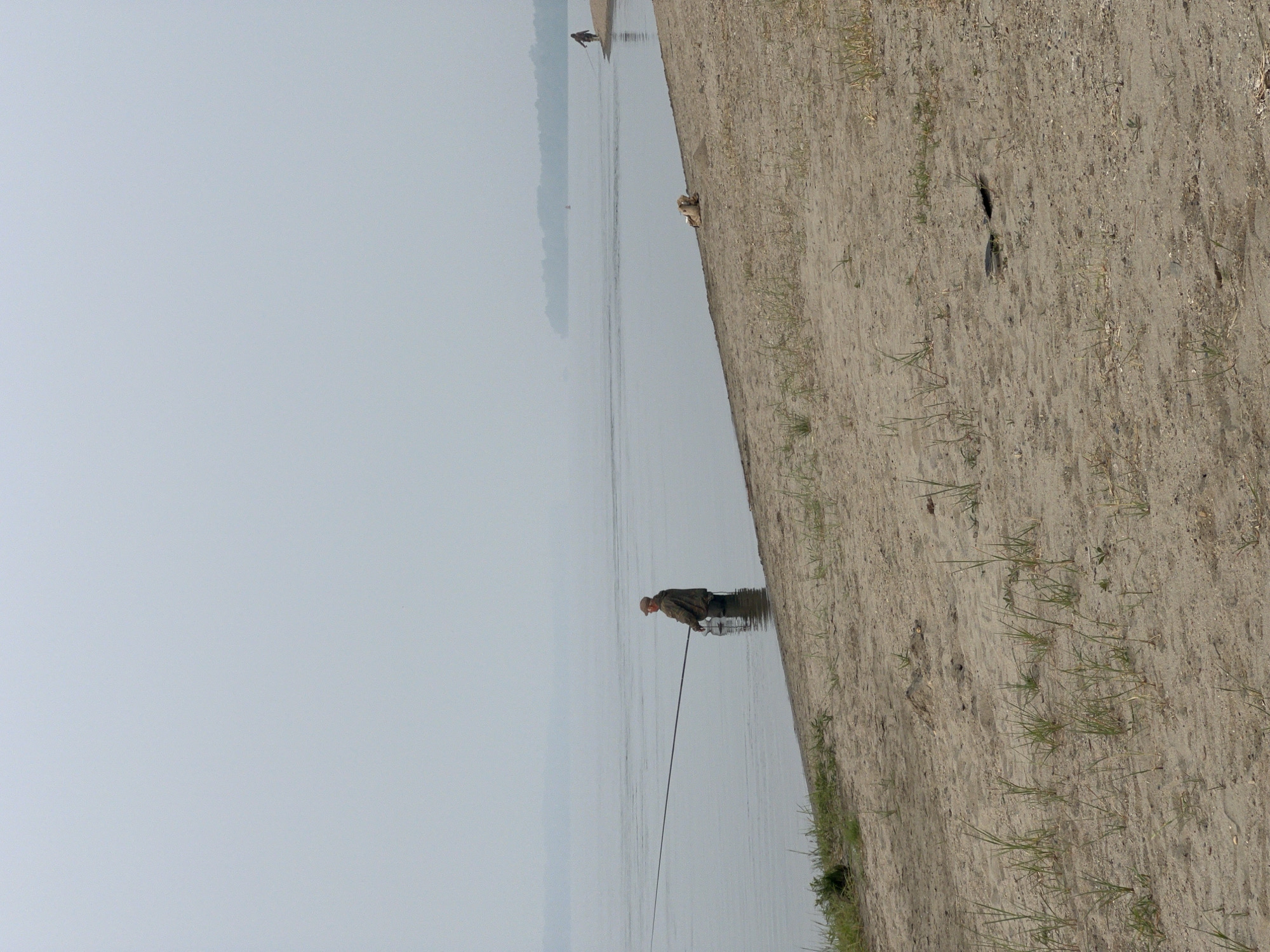 A lone fisherman stands waist-deep in the calm, murky water of a wide river, casting a long fishing rod. He wears a camouflage jacket and a cap. The riverbank to the right is a sandy beach dotted with sparse, dry grass. In the distance, the hazy silhouette of a forested shoreline is visible under a pale, overcast sky. Another person walks along the distant beach, and what appears to be a small animal is lying on the sand in the middle ground. The scene suggests a quiet, overcast day, possibly in late spring or early autumn, along a river in a rural area. The location is identified as Mochishche, Russia.