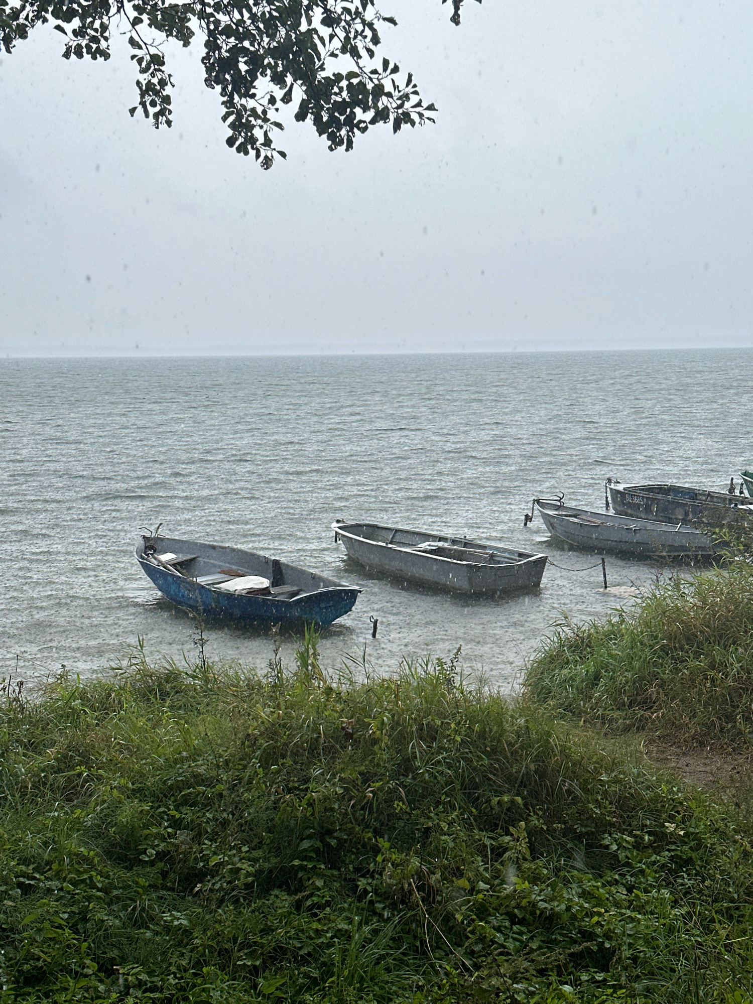 A body of water is depicted under overcast skies, with visible raindrops creating ripples on the surface. In the foreground, dense green vegetation lines the shore. Several small, weathered boats are moored in the shallow water. One blue boat is prominent in the left foreground, with a white object inside. Behind it, a grey boat rests near the shore. Further out in the water, two more grey boats are visible, one of which is chained to a post. The horizon is indistinct due to the weather. The scene appears to be a natural waterfront, possibly a lake or a wide river, in the Нарацкі сельскі Савет, Belarus region.