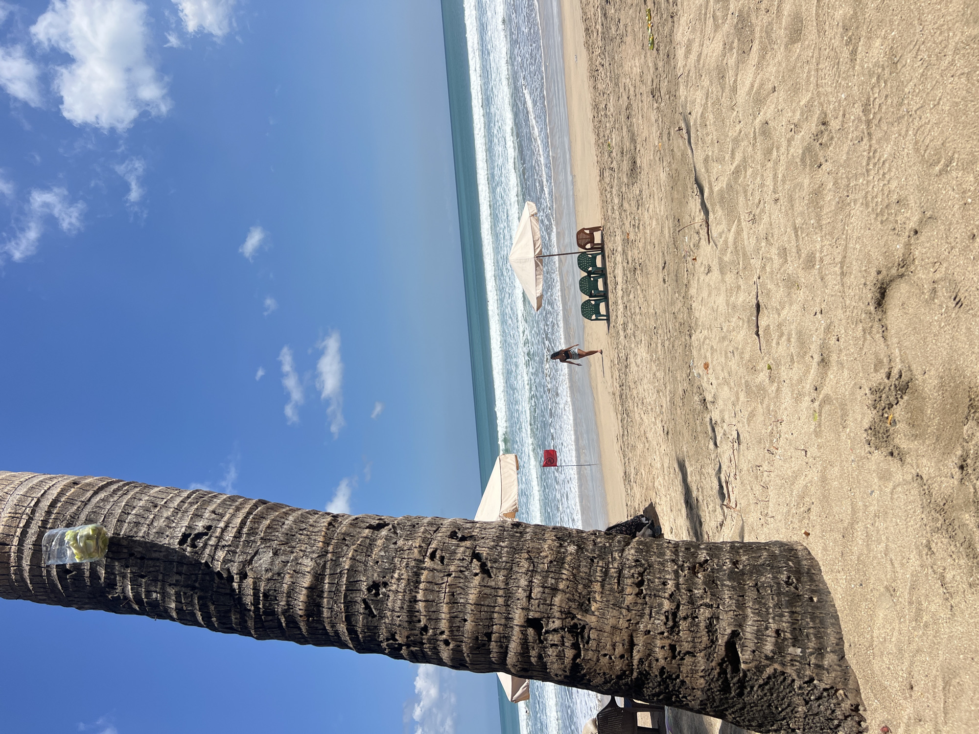 A wide-angle, eye-level shot captures a tropical beach scene in Kuta, Indonesia, dominated by the textured trunk of a palm tree in the foreground. The tree's bark is deeply grooved, and a plastic bottle containing what appears to be green fruit or flowers is tied to its upper section. Beyond the palm, a sandy beach stretches towards the ocean. A beige beach umbrella shades a row of four plastic chairs: three green and one orange. A single person, seen from the side, walks along the sand near the water's edge. In the middle distance, a small red flag stands planted in the sand. The ocean exhibits moderate waves and a distinct blue hue, meeting a bright blue sky dotted with sparse white clouds. The overall impression is one of a peaceful, sunny day at a beach resort.