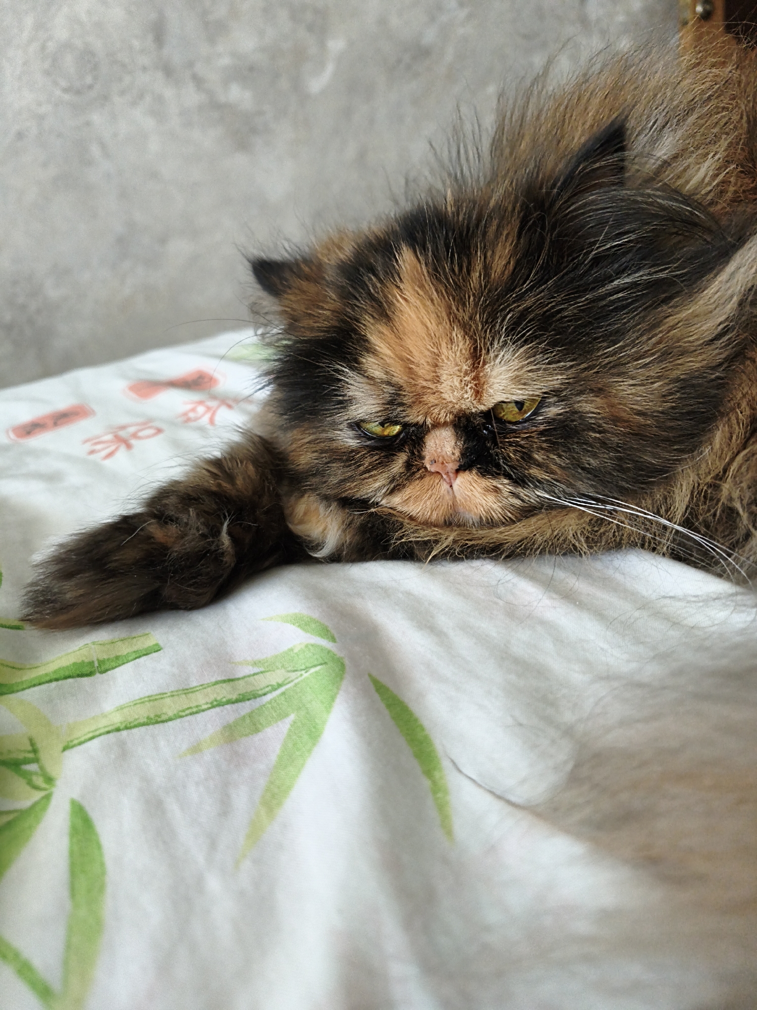 A close-up, vertical, eye-level shot shows a fluffy, calico Persian cat lying on its side on a white sheet with a green bamboo leaf pattern. The cat's face is partially visible, with bright yellow eyes and a pink nose. Its fur is a mix of brown, black, and orange. One paw is extended forward, resting on the sheet. The background is a mottled gray wall.