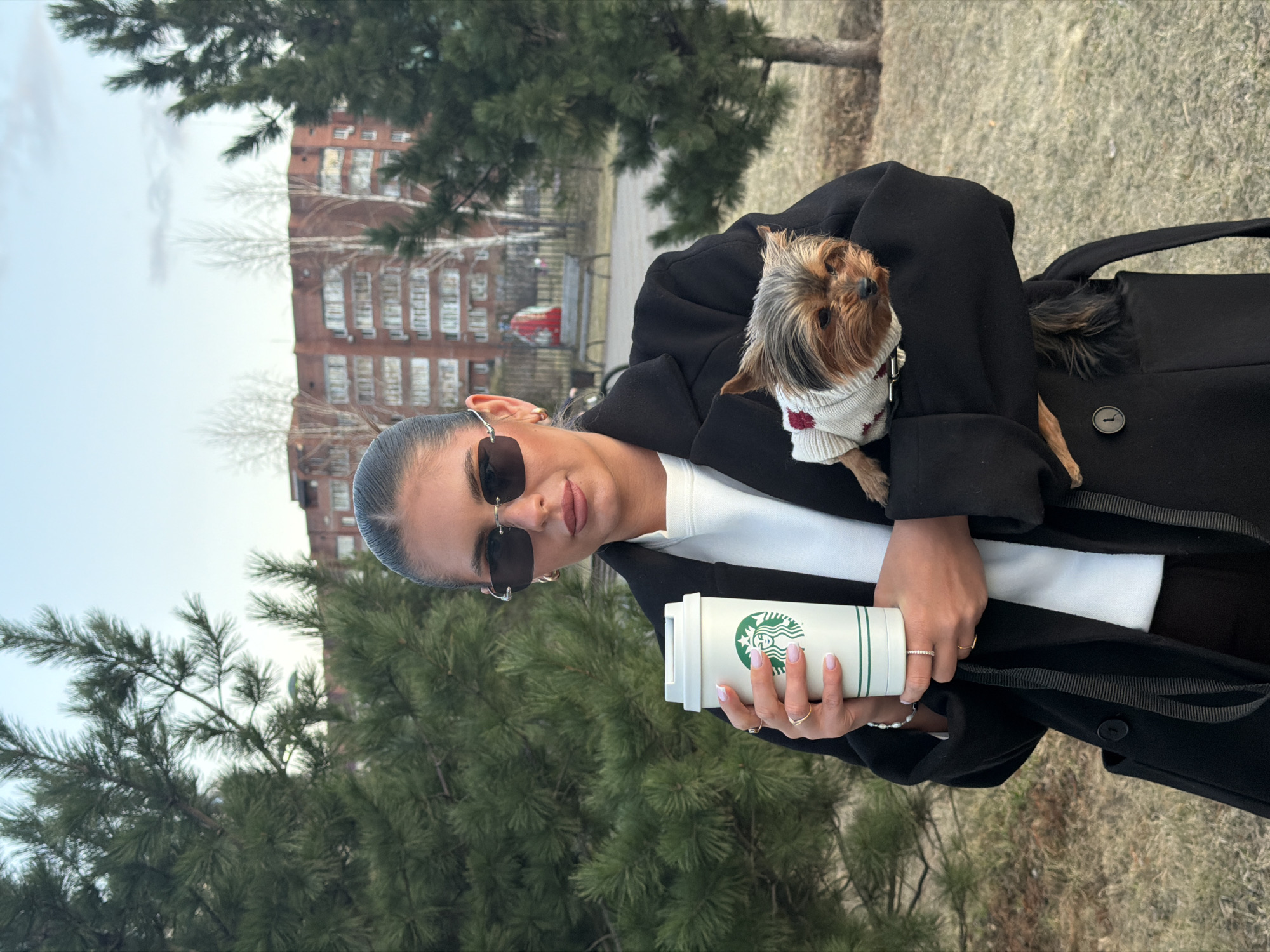 A vertically oriented, eye-level outdoor shot features a young woman holding a small dog and a Starbucks cup, set against an urban park and building backdrop in Krasnoyarsk, Russia. The woman, with dark hair pulled back, wears sunglasses, a black coat over a white top, and has light-colored nail polish and rings on her fingers. She holds a white Starbucks reusable tumbler with a green logo in her right hand. Cradled in her left arm is a small Yorkshire Terrier, wearing a cream-colored sweater adorned with red heart patterns. The dog looks calmly towards the viewer.
The background consists of several pine trees with dark green needles, some deciduous trees (appearing bare or sparsely leaved, suggesting early spring or late autumn), and a large, multi-story brick building with numerous windows on the left side. The ground beneath the trees is grassy and appears somewhat dry. The sky is overcast, providing soft, diffused lighting. The overall mood is casual and relaxed.