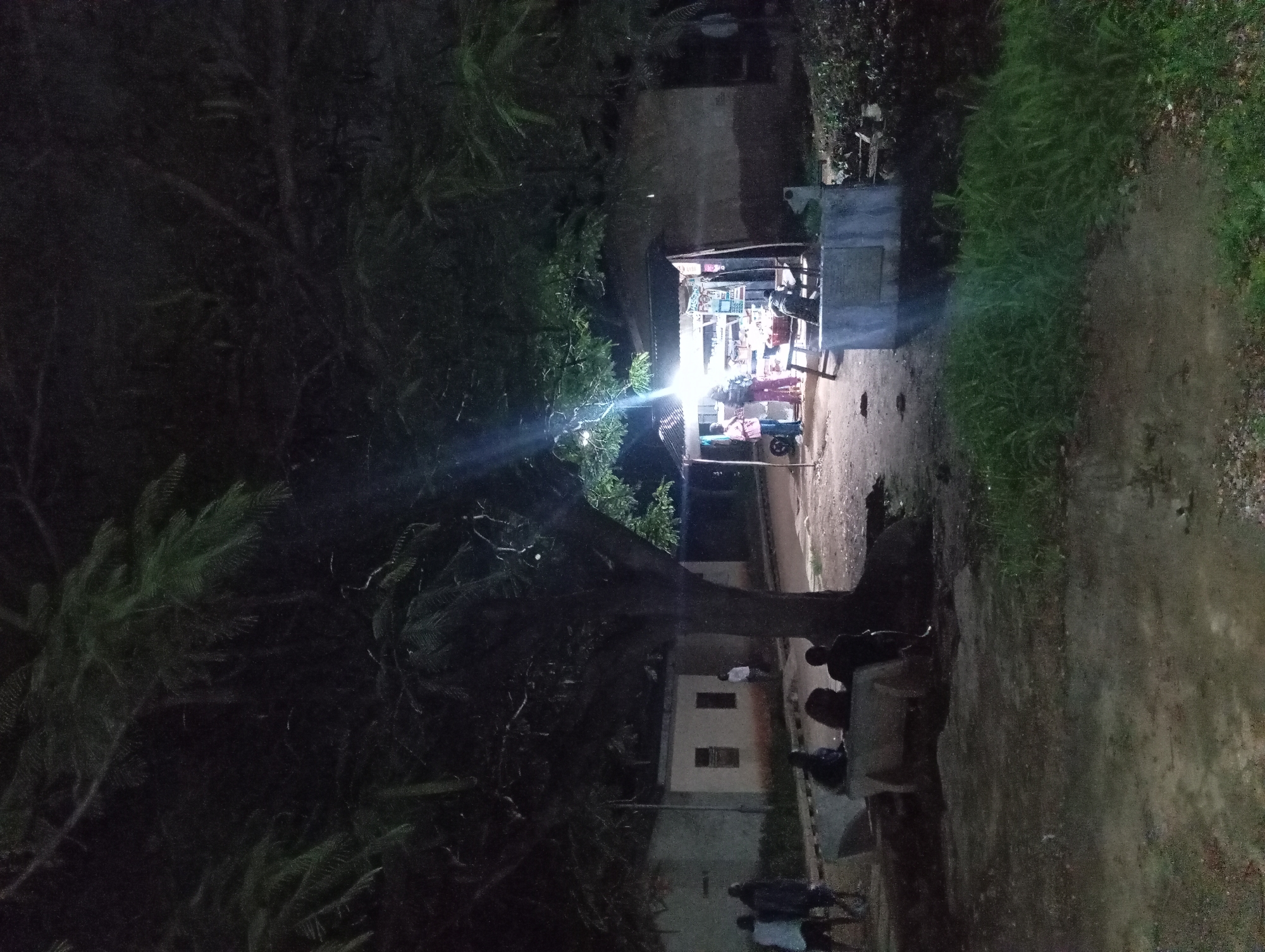 The image depicts a nighttime scene outdoors. In the foreground, a large tree with dense foliage dominates the left side, casting shadows. To the right, a small, open-air stall is illuminated by a bright overhead light, with several people gathered around it. The stall appears to be selling various items displayed on shelves. In the mid-ground, there is a concrete bench where several individuals are seated, facing away from the camera. Further to the left, three people are walking, and another person stands near a building. The background consists of low-rise buildings. The ground is a mix of dirt and some patches of grass. The overall impression is a street scene at night, likely in a commercial or residential area, with a temporary vendor operating under artificial light.