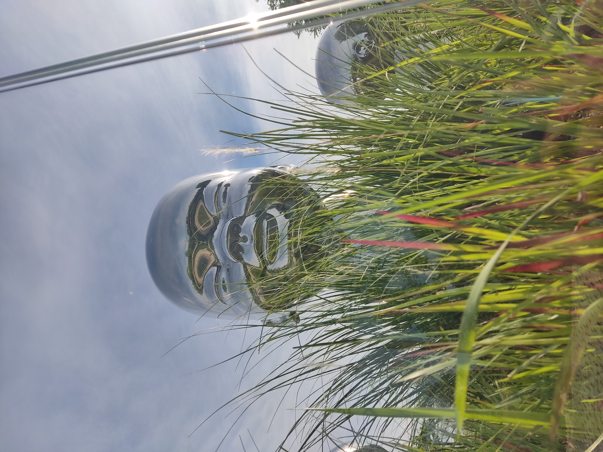 A low-angle shot shows a silver, spherical sculpture of a human head amidst tall green grass. The shiny surface of the sculpture reflects the cloudy sky. In the top left corner, a blurred structure of parallel metal bars is visible. The image was taken outdoors, with natural light illuminating the sculpture and surrounding vegetation. The location is Krasnodar, Russia.