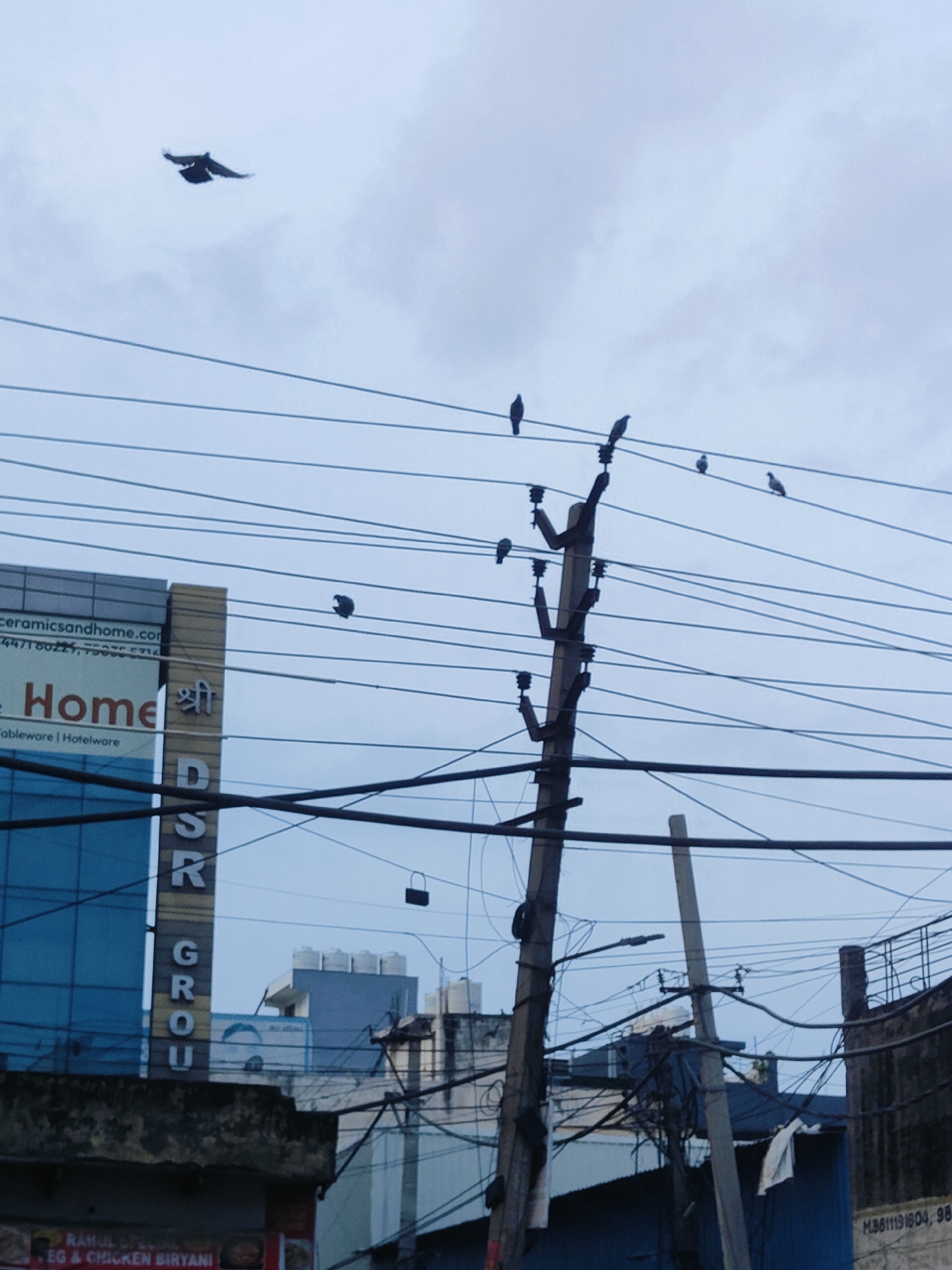 In Gurgaon, India, a cloudy sky looms over a busy street scene. A bird with outstretched wings soars high above, while several other birds perch on a tangle of power lines. The wires crisscross the sky, connecting to utility poles that stand sentinel amidst the urban landscape. Below, a multi-story building with blue glass windows features the prominent signage of "Home" and "DSR GROUP." The street below is partially visible, with hints of shops and buildings indicating a bustling commercial area. The overall impression is one of a typical day in a vibrant Indian city, with the natural elements of birds and sky juxtaposed against the man-made structures of urban infrastructure and commerce.