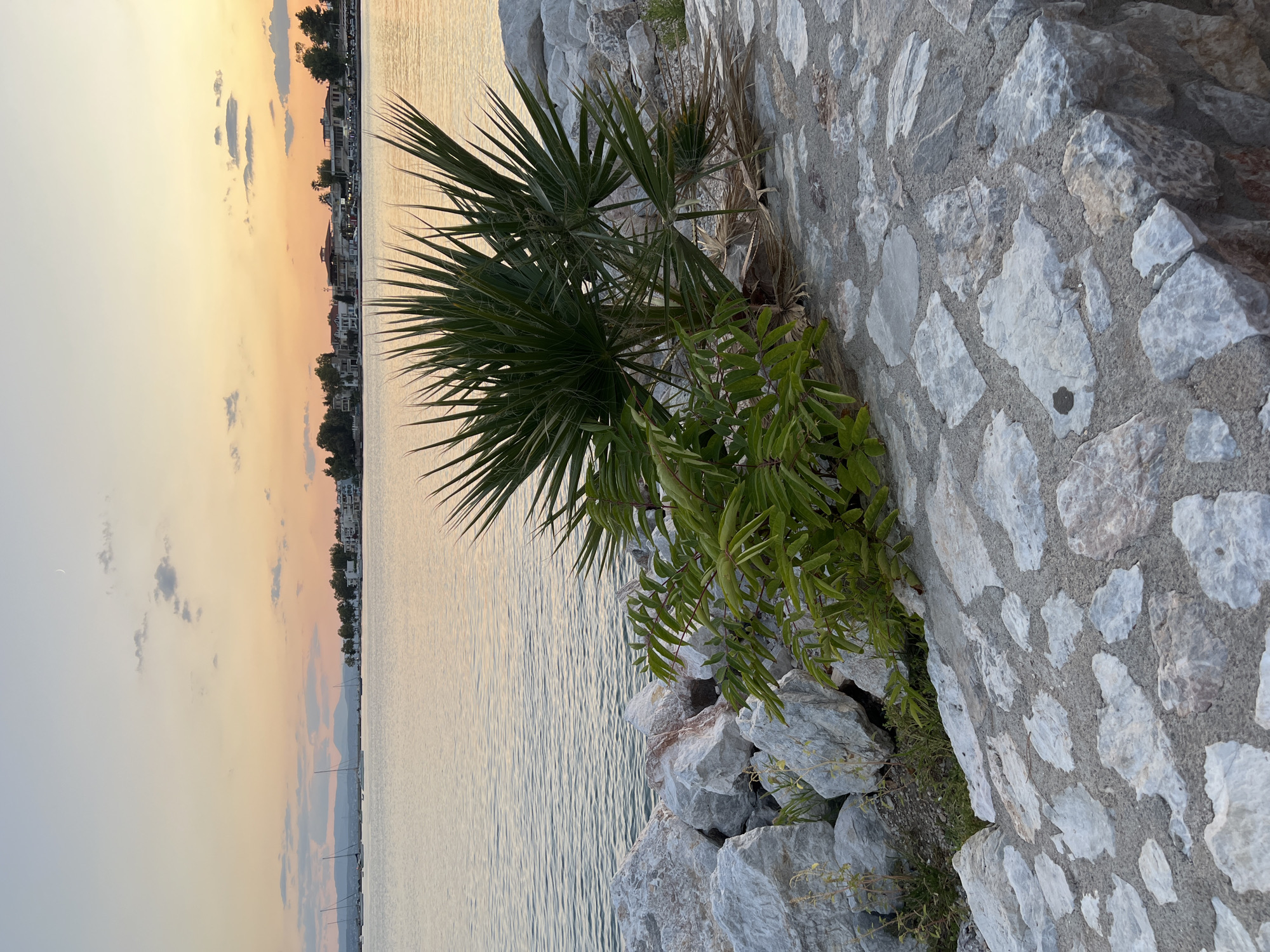 The image depicts a rocky shoreline with a body of water in the background, likely the Aegean Sea. In the foreground, large, irregular white stones form a man-made barrier, with a cobblestone pathway laid on top. A small palm tree and some green foliage grow amongst the rocks and along the edge of the pathway. The water is calm and reflects the soft hues of the sunset sky, which transitions from pale orange to a light blue. Distant sailboats are visible on the water, and a crescent moon is present in the sky. Along the horizon, a line of buildings and trees suggests a coastal town or resort area, consistent with the location of Eretria Municipal Unit, Greece. The scene is peaceful and captures the serene atmosphere of a coastal evening.