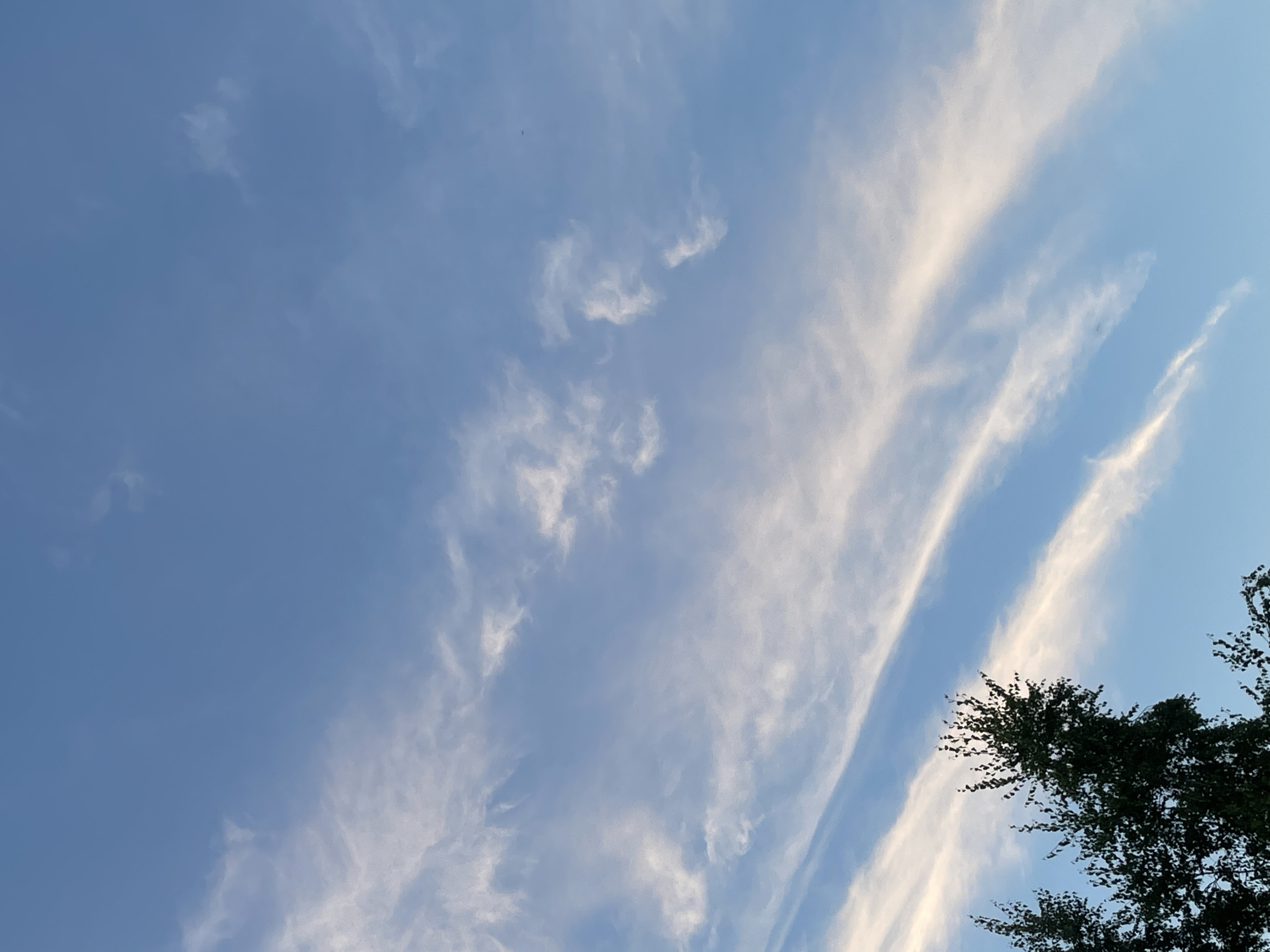 The image shows a clear blue sky with wispy white clouds. In the lower left corner, the dark green foliage of two trees is visible against the sky. The scene is likely outdoors, given the presence of trees and the open sky. The image has a peaceful and serene atmosphere. There are no people or actions depicted. The location is Laishevo, Russia.