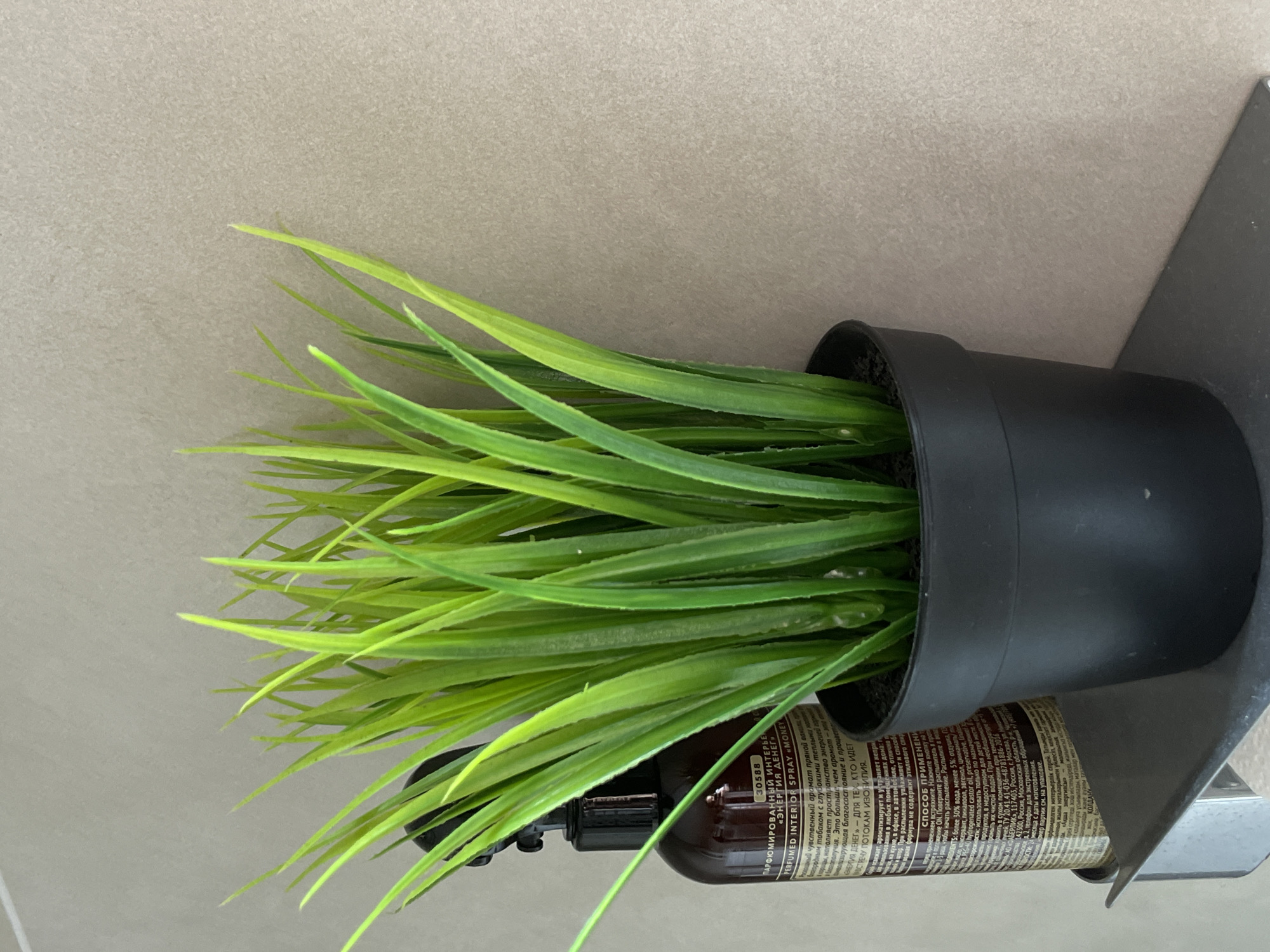 A close-up shot depicts a small, black plastic flowerpot containing artificial green foliage. The pot rests on a gray metal shelf, alongside a dark brown spray bottle with Cyrillic labeling. The wall behind the shelf and foliage is a light beige color with a textured surface. The focus is primarily on the plant and bottle, with the background slightly blurred. Based on the labeling of the product in Cyrillic, the location is likely in Russia, but the specific city of Подшивалово cannot be definitively determined from the image. There are no people or explicit actions depicted.