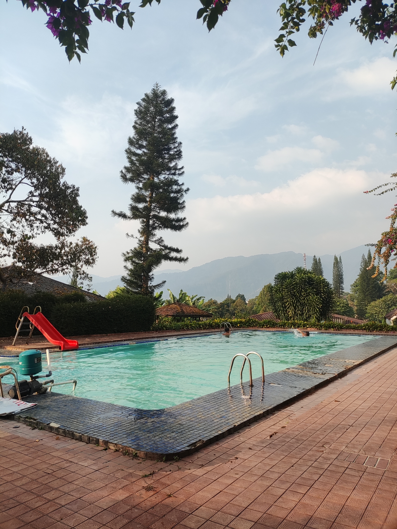 The image depicts an outdoor swimming pool area, likely a resort or private residence, with a mountainous backdrop characteristic of Cisarua, Indonesia. The pool itself is filled with clear, turquoise water and features a red slide on the left side, alongside a green water pump. Two individuals are visible swimming in the pool, one closer to the foreground and another further back. The poolside is paved with reddish-brown tiles, and a tiled edge surrounds the pool. Lush greenery, including tall trees and bushes, forms the immediate environment, with a thatched-roof structure visible in the middle ground to the right. In the distance, layered mountains are visible under a slightly overcast sky. Flowering branches with purple and pink blossoms hang from the top edges of the frame. The scene suggests a tranquil, recreational setting.