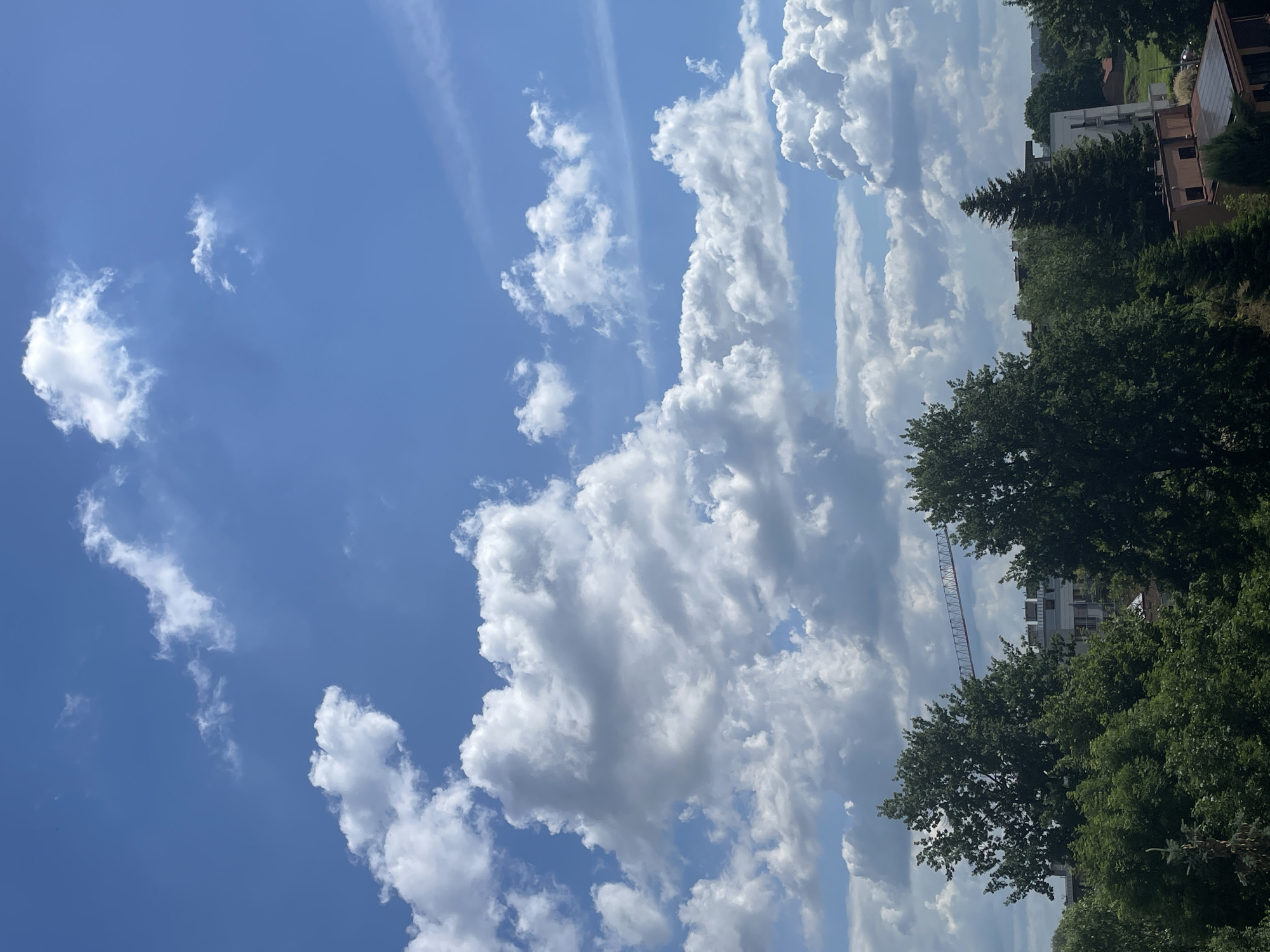 The image shows a bright blue sky with scattered white clouds. In the foreground, lush green trees create a dense canopy. Behind the trees, several buildings are visible, including what appears to be a construction site with a crane. The overall impression is of a sunny day in an urban or suburban area with a significant amount of greenery.