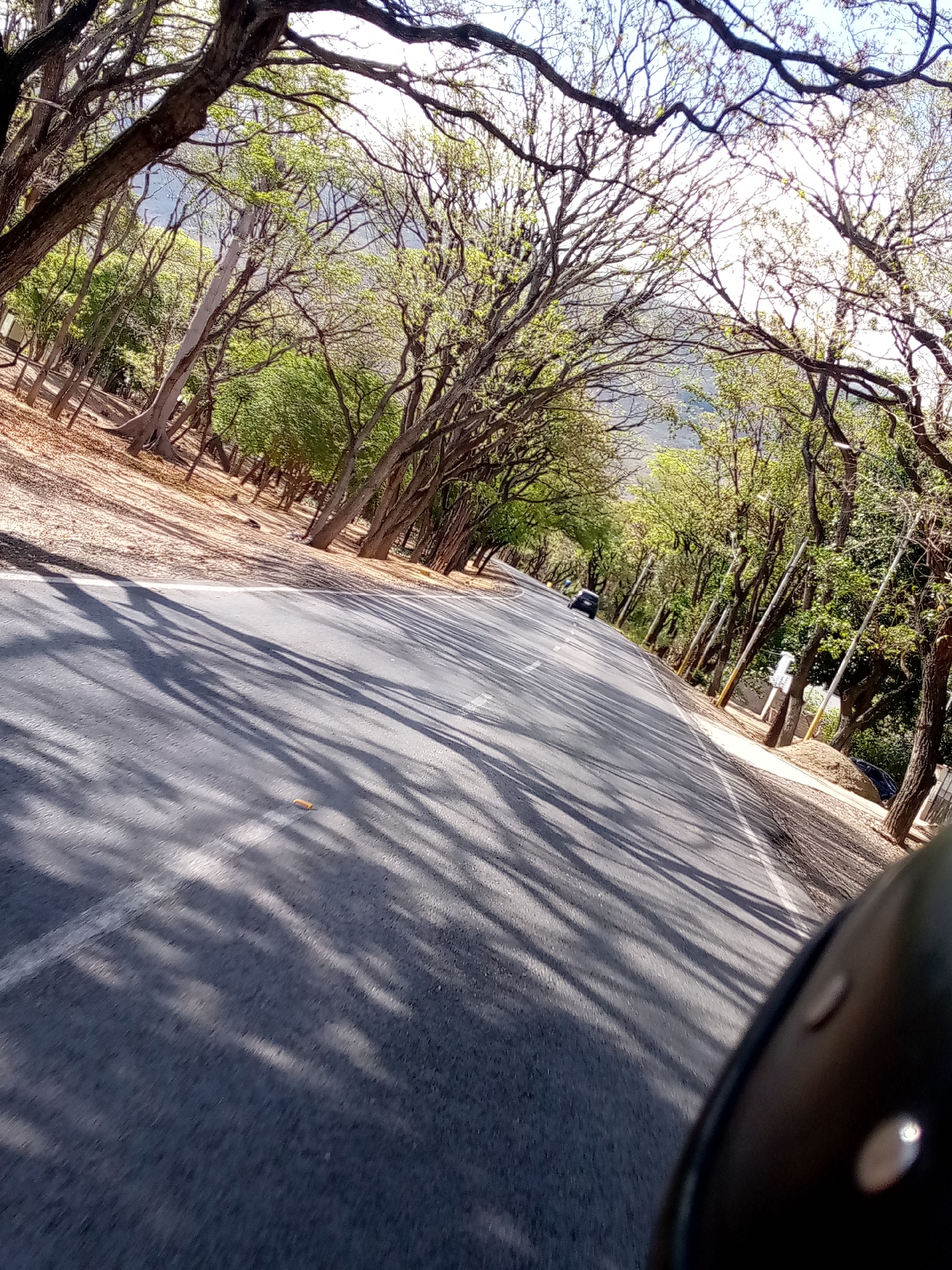 A road stretches into the distance, lined with trees that create a tunnel-like effect with their branches meeting overhead. The road surface is dark, marked with a white line along the edge and dappled with the shadows of the trees. A car is visible in the distance. On the right side of the road, wooden posts are present at regular intervals, while the left side of the road is lined with dense foliage and scattered tree trunks. The presence of vegetation and the mountain in the background suggest a rural or natural setting, in the city of Juan Griego, Venezuela. A portion of a dark helmet is visible in the foreground.