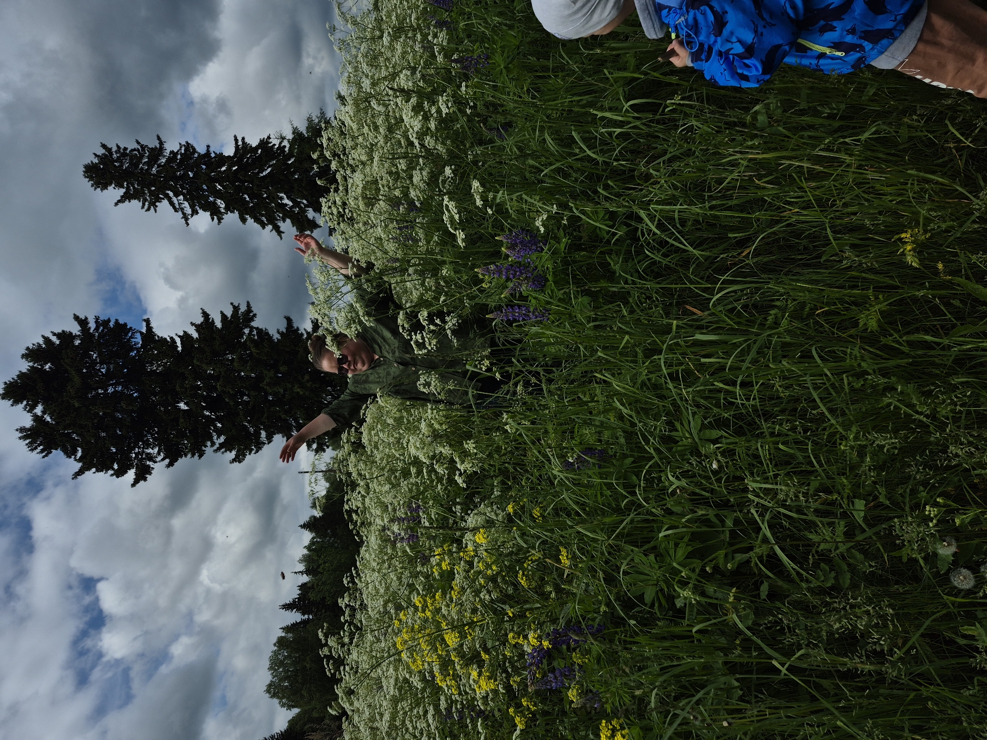 In a field of tall green grass and white wildflowers under a cloudy sky, a woman in a green shirt stands with her arms raised. She is wearing sunglasses. To her right, a child in a blue jacket and grey hood faces away from the camera, looking into the field. In the background, two tall evergreen trees stand out against the sky, and a line of trees forms the horizon. The area appears to be rural.