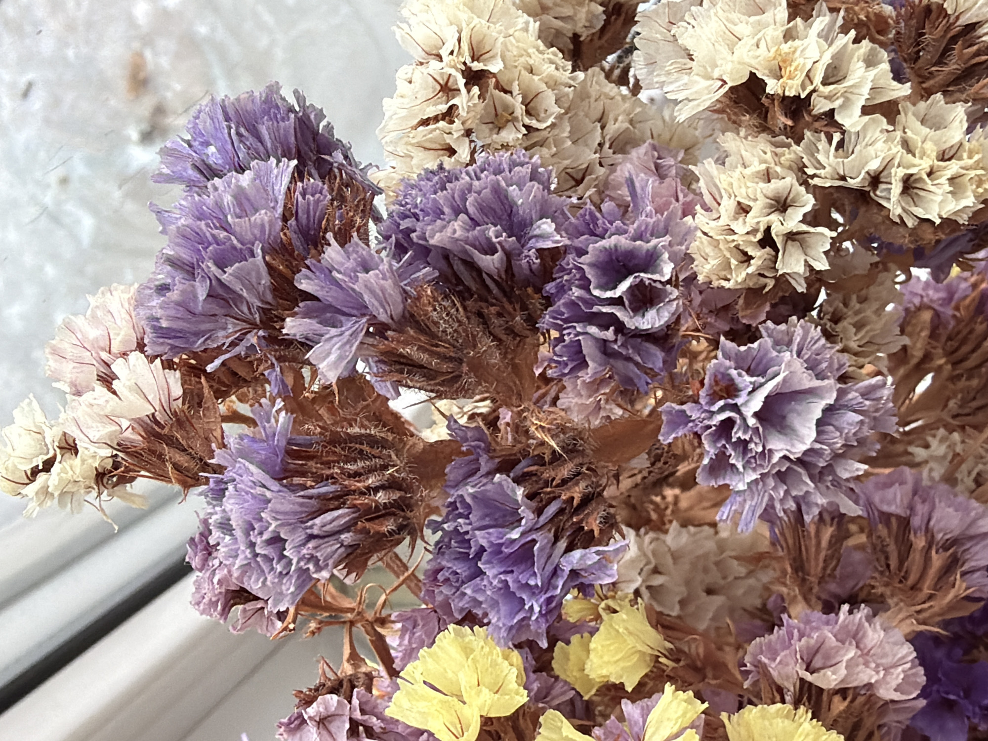 The image displays a close-up view of a bouquet of dried flowers, predominantly in shades of purple, cream, and yellow. The flowers have a delicate, papery texture and a clustered, intricate arrangement. The stems are brown and woody, with some appearing thorny. The background is out of focus, showing a light-colored surface that could be a wall or a window, with hints of vertical lines that suggest blinds or curtains. There are no people or animals present in the image. The scene is indoors, likely a domestic setting, but there is no specific indication of the city of Kyiv, Ukraine, or any other location.