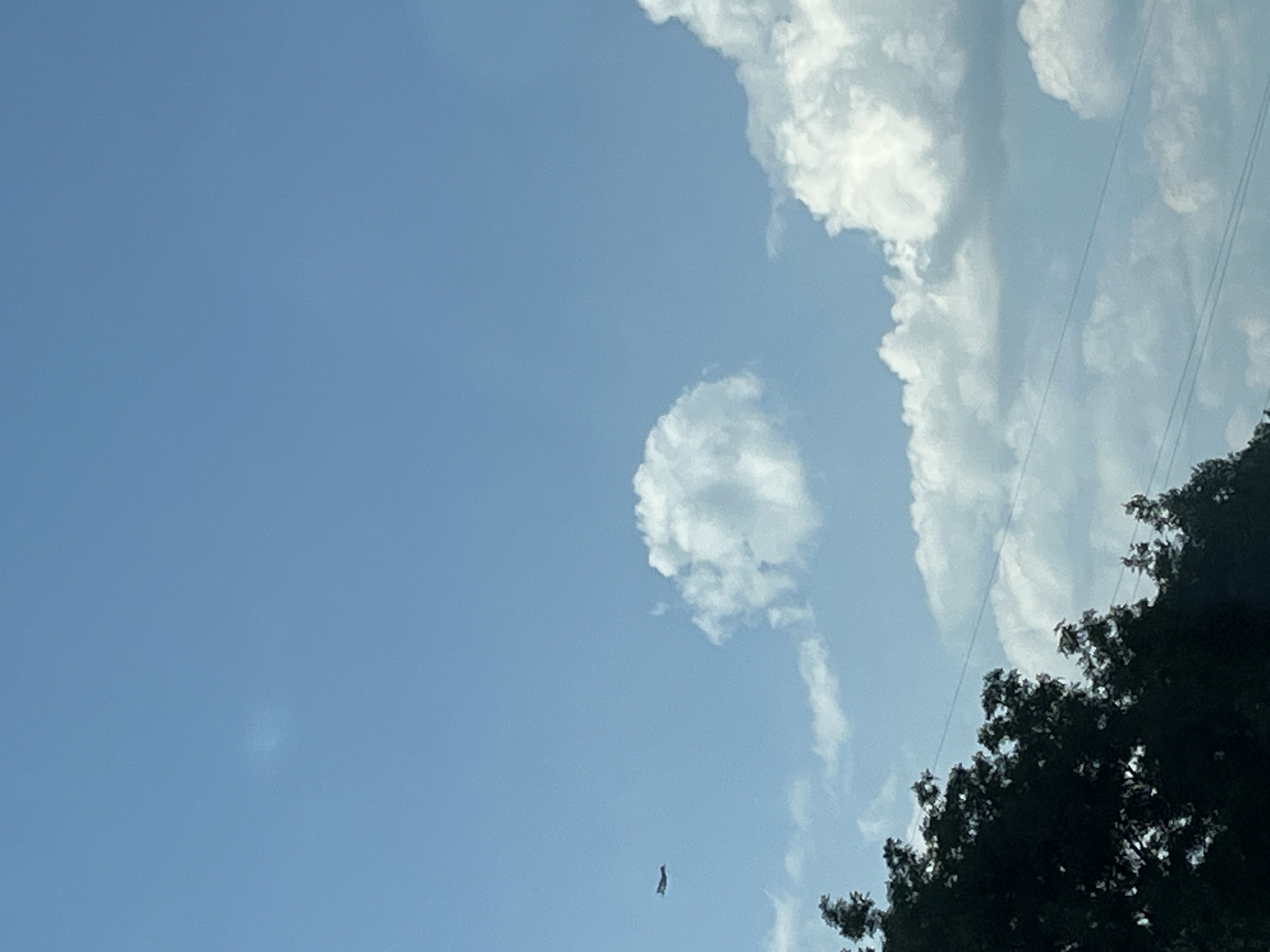 The image is a vertical, low-angle shot of a bright blue sky with scattered white clouds. In the upper right quadrant, a large cluster of cumulus clouds dominates, with thinner, wispy clouds extending downwards. A dark silhouette of tree branches and foliage appears along the right edge of the frame, suggesting an outdoor setting. Three thin, dark power lines are visible diagonally across the upper right portion of the sky.
In the central portion of the sky, a small, dark, elongated object is suspended, appearing to be falling or dangling. Its exact nature is unclear, but its shape is reminiscent of a person or a kite. A single, roundish cloud formation is positioned to the left of the falling object. The lighting suggests it is daytime, likely late morning or early afternoon, with bright sunlight illuminating the clouds. No text is visible in the image.