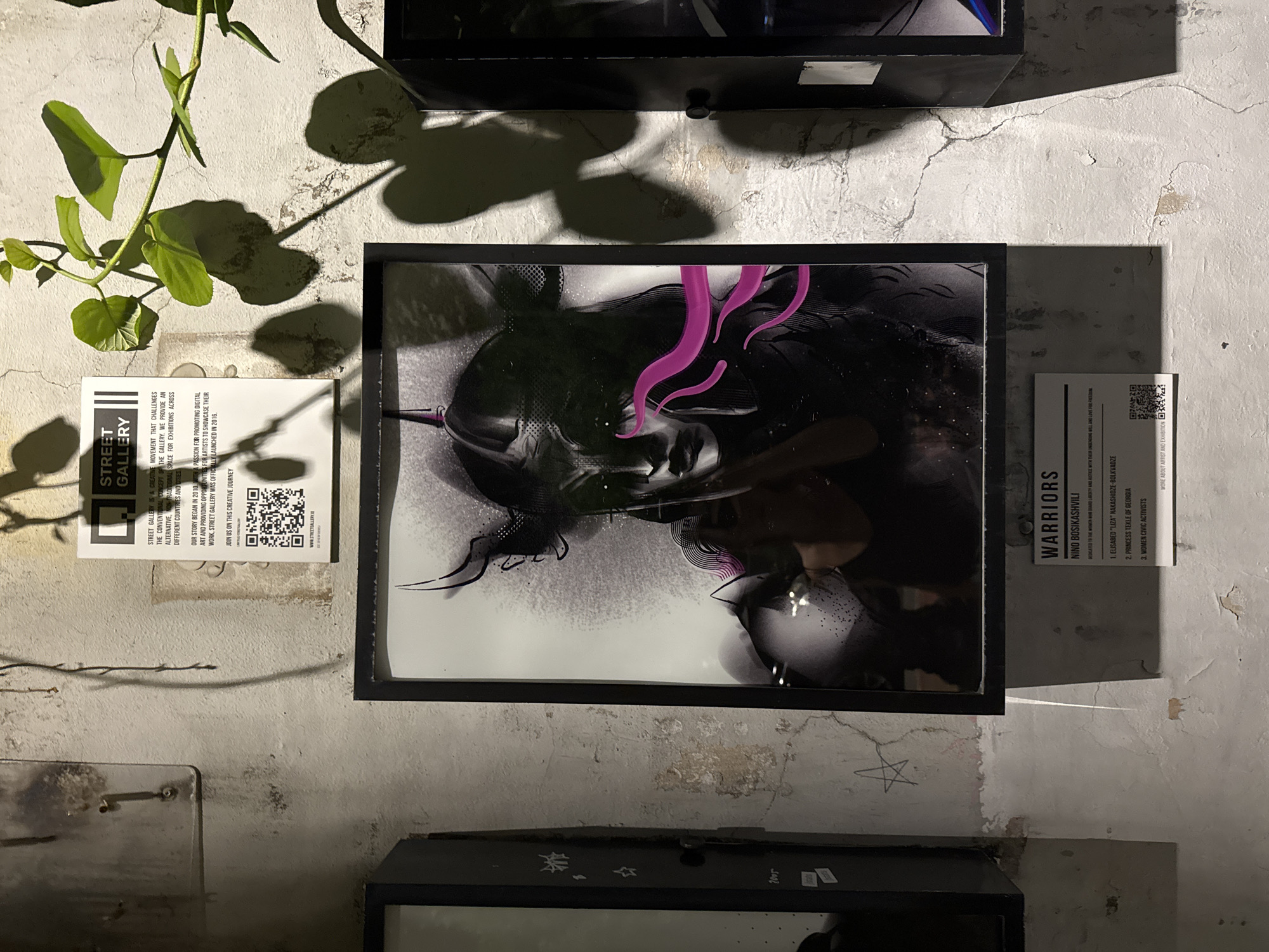 The image depicts an indoor exhibition space with rough, textured concrete walls. A framed artwork featuring a stylized, dark portrait of a warrior with pink accents is prominently displayed. Below the artwork, a small placard provides information about the piece, including the title "WARRIORS," the artist "NINO BOSIKASHVILI," and a dedication. The placard also lists three subjects: "1. ELISABED 'LIZA' NAKASHIDZE-BOLKVADZE," "2. PRINCESS TEKLE OF GEORGIA," and "3. WOMEN CIVIC ACTIVISTS." A QR code is visible on the placard, presumably for more information.
To the left of the main artwork, a dark, vertical structure with some graffiti and stickers is visible. To the right, another dark structure is partially visible, and a plant with green leaves casts shadows on the wall. Another piece of paper with "STREET GALLERY" and a QR code is mounted higher on the wall above the main artwork.
This exhibition is located in the Street Gallery, which is part of the Batumi Boulevard in Batumi, Georgia. The gallery is known for showcasing contemporary art and often features works with socio-political themes. The rough, urban aesthetic of the walls and the surrounding structures suggests an outdoor or semi-outdoor exhibition space, typical of street art galleries.