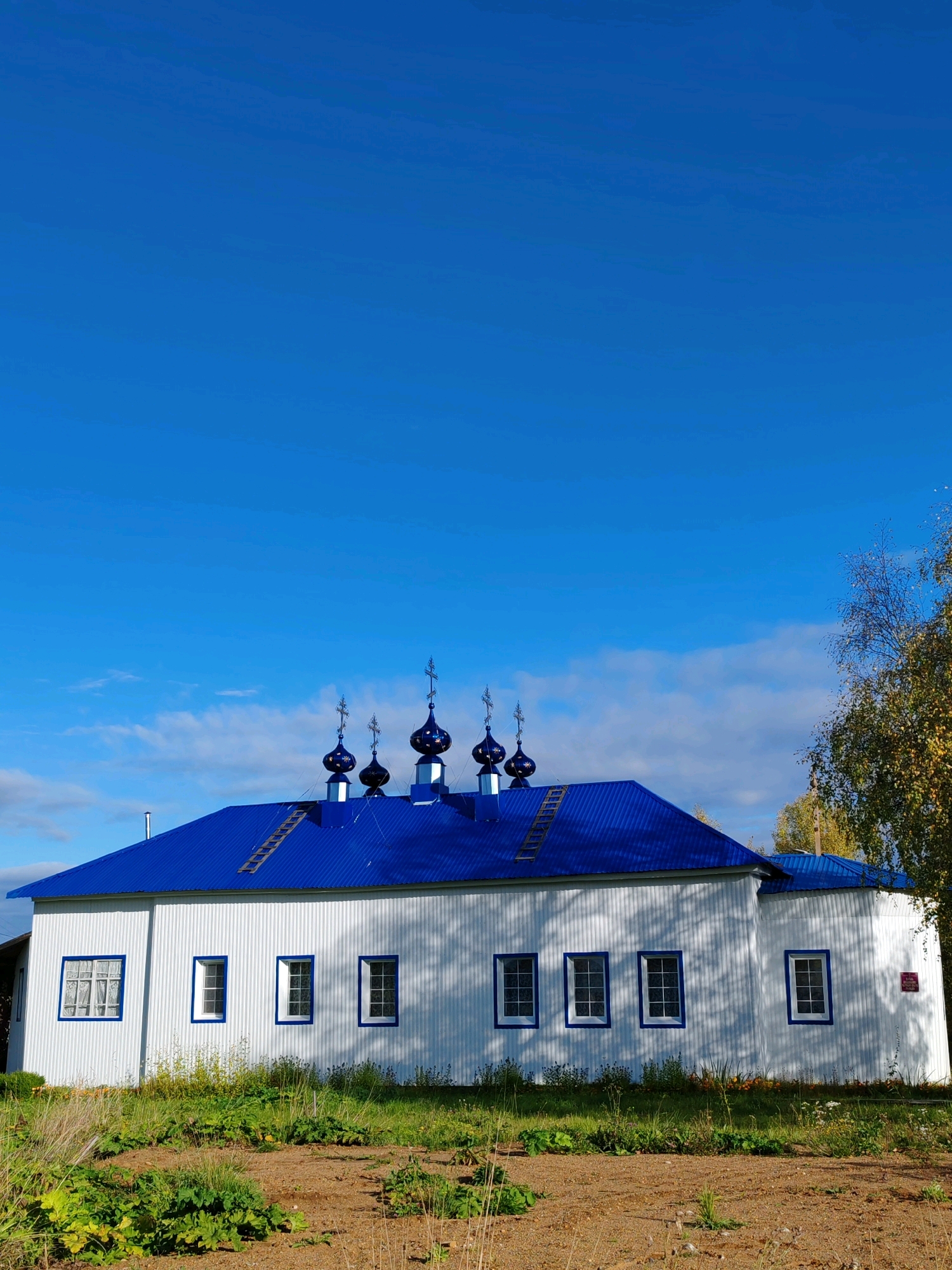 A white-sided building with a bright blue roof, topped with five onion domes, stands against a clear blue sky. The building appears to be a church or a religious building. The walls are corrugated, and there are several rectangular windows with blue trim and white panes. A ladder is visible on the roof, leaning against the central dome. To the right of the building, a portion of a tree with yellowing leaves is visible, suggesting an autumn season. The foreground consists of dry grass and soil, indicating a rural or semi-rural setting. There is no sign of human activity. The image is taken from a low angle, looking up at the structure.