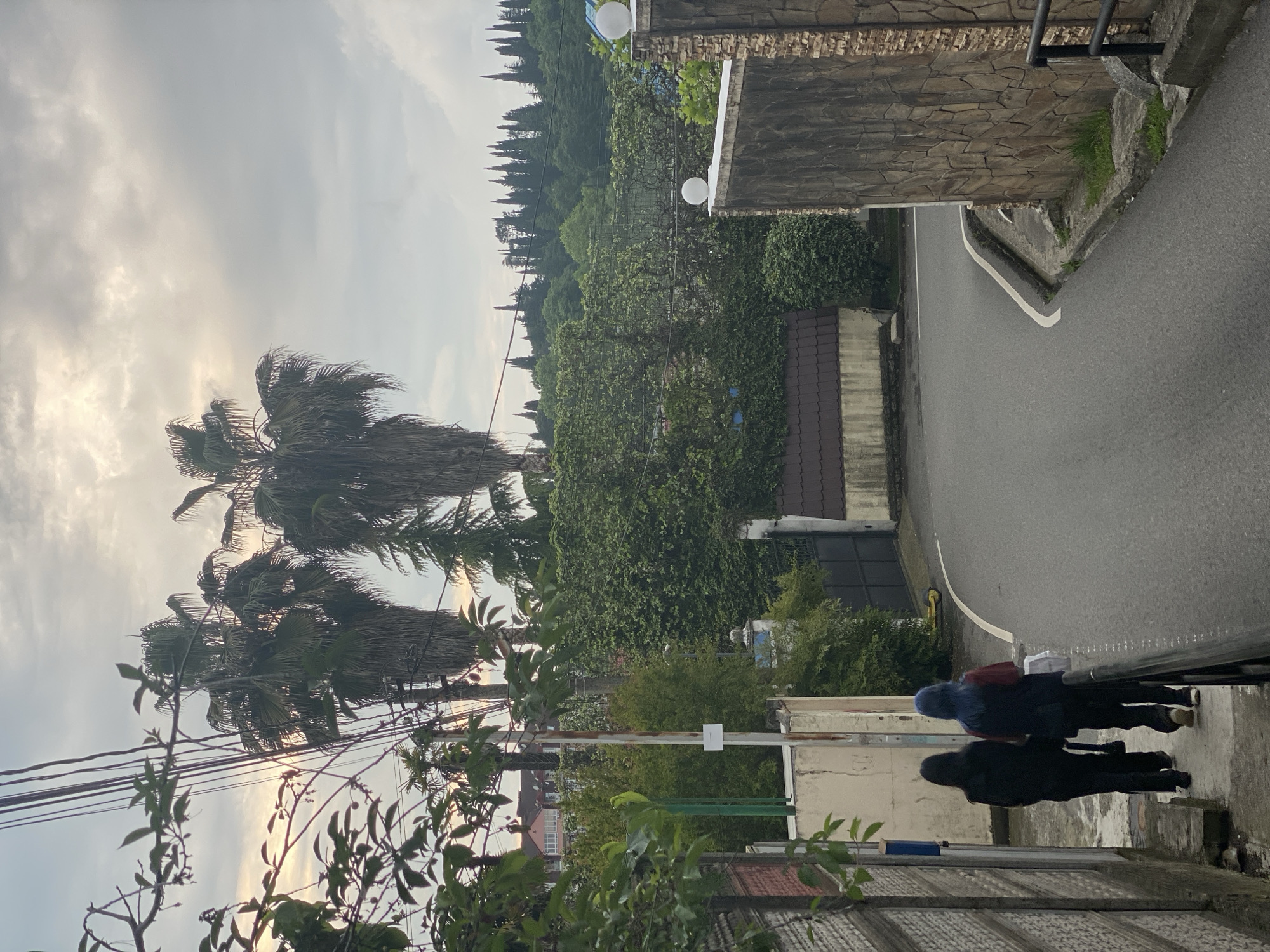 The image shows a street in Sochi, Russia, on an overcast day. The view is from a slightly elevated position, looking down along a narrow road that curves to the right. Two people are walking along the sidewalk. One person is wearing dark clothing. The other is wearing a dark jacket with a red shirt underneath. Tall palm trees are visible on the left, with power lines running among them. Lush greenery, including various trees and bushes, fills the middle ground of the image, leading to a denser, darker line of trees on the horizon. Buildings and stone walls border the road. The sky is cloudy, with a hint of light.