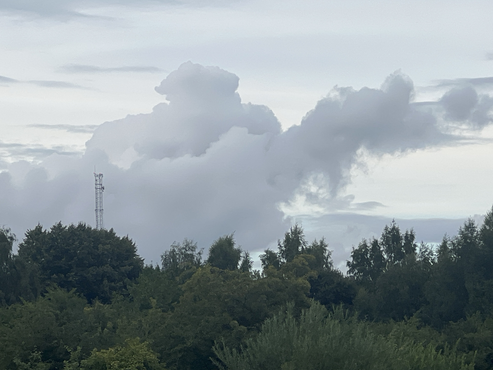 A telecommunications tower stands tall amongst a dense forest on a cloudy day in Bolshoye Isakovo, Russia. The tower, a lattice structure with antennas at its apex, is positioned to the left of center, piercing through the canopy of trees. The trees, predominantly deciduous with lush green foliage, form a thick, undulating line across the lower half of the image. The sky above is overcast with large, textured cumulus clouds that dominate the upper portion of the frame. The overall impression is one of a natural landscape punctuated by a man-made structure under a moody sky.