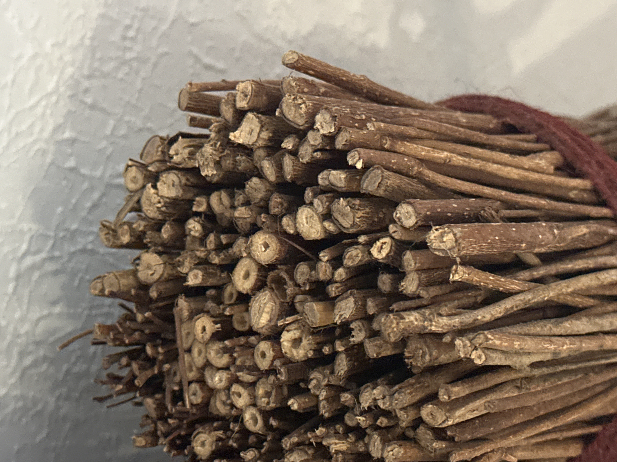 A close-up, eye-level, outdoor shot displays a bundle of dried twigs tied together with a dark red string. The twigs are cut at the ends, revealing their hollow centers and woody texture. They vary in thickness, with some appearing to be thicker than a finger, while others are as thin as a pencil. The background is a textured, light gray surface, possibly a wall or a rock formation. The lighting is soft and diffused, casting subtle shadows on the twigs. There is no visible indication of the location in Nevinnomyssk, Russia.