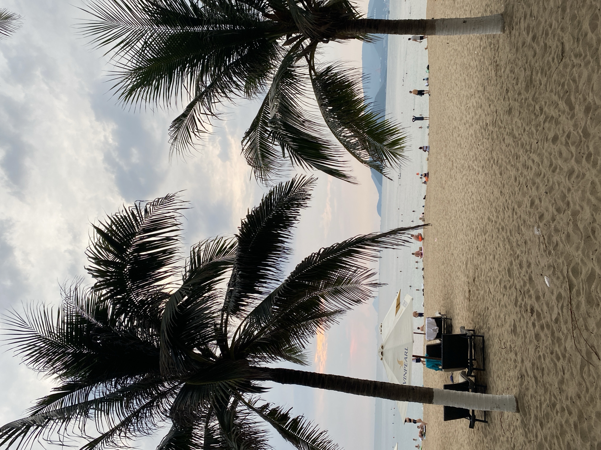 The image depicts a beach scene in Nha Trang Ward, Vietnam, at either dawn or dusk. The sky is overcast with varying shades of grey and hints of orange near the horizon. In the foreground, there are two palm trees, their fronds dominating the composition. The beach itself is sandy and populated with numerous individuals, some in the water and others on the shore. Beach umbrellas and chairs are scattered along the beach. The water appears calm. A land formation is visible on the distant horizon.