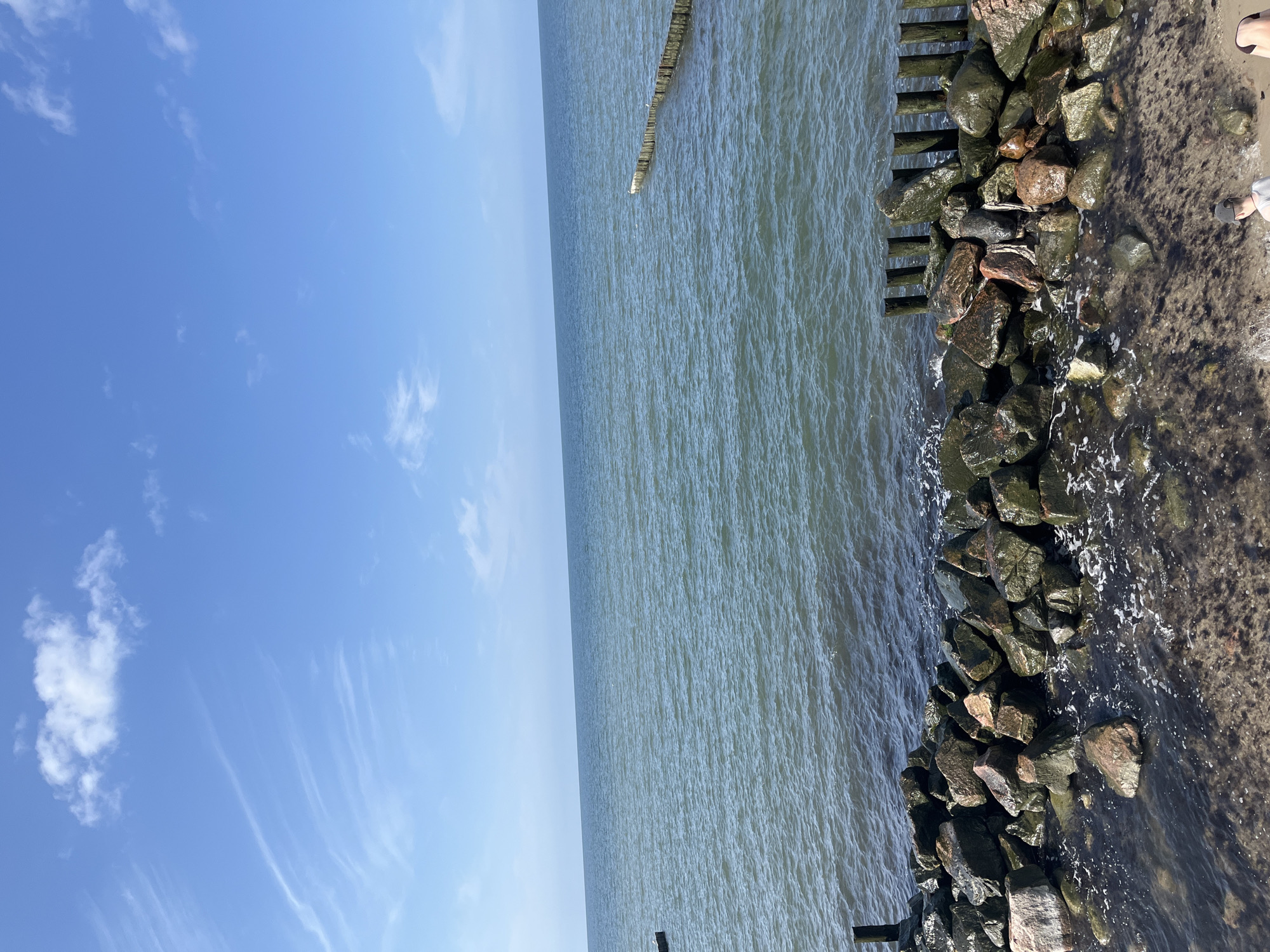 A photograph taken from a low vantage point shows a calm sea under a bright blue sky with scattered wispy clouds. In the foreground, a rocky breakwater extends into the water, with weathered wooden posts dotting the shoreline. The water is a muted blue-green, with small waves lapping at the rocks. The sky is clear and expansive, with a few white clouds adding texture. The scene appears to be a tranquil coastal landscape, possibly the coast of Svetlogorsk, Russia, known for its Baltic Sea shores.