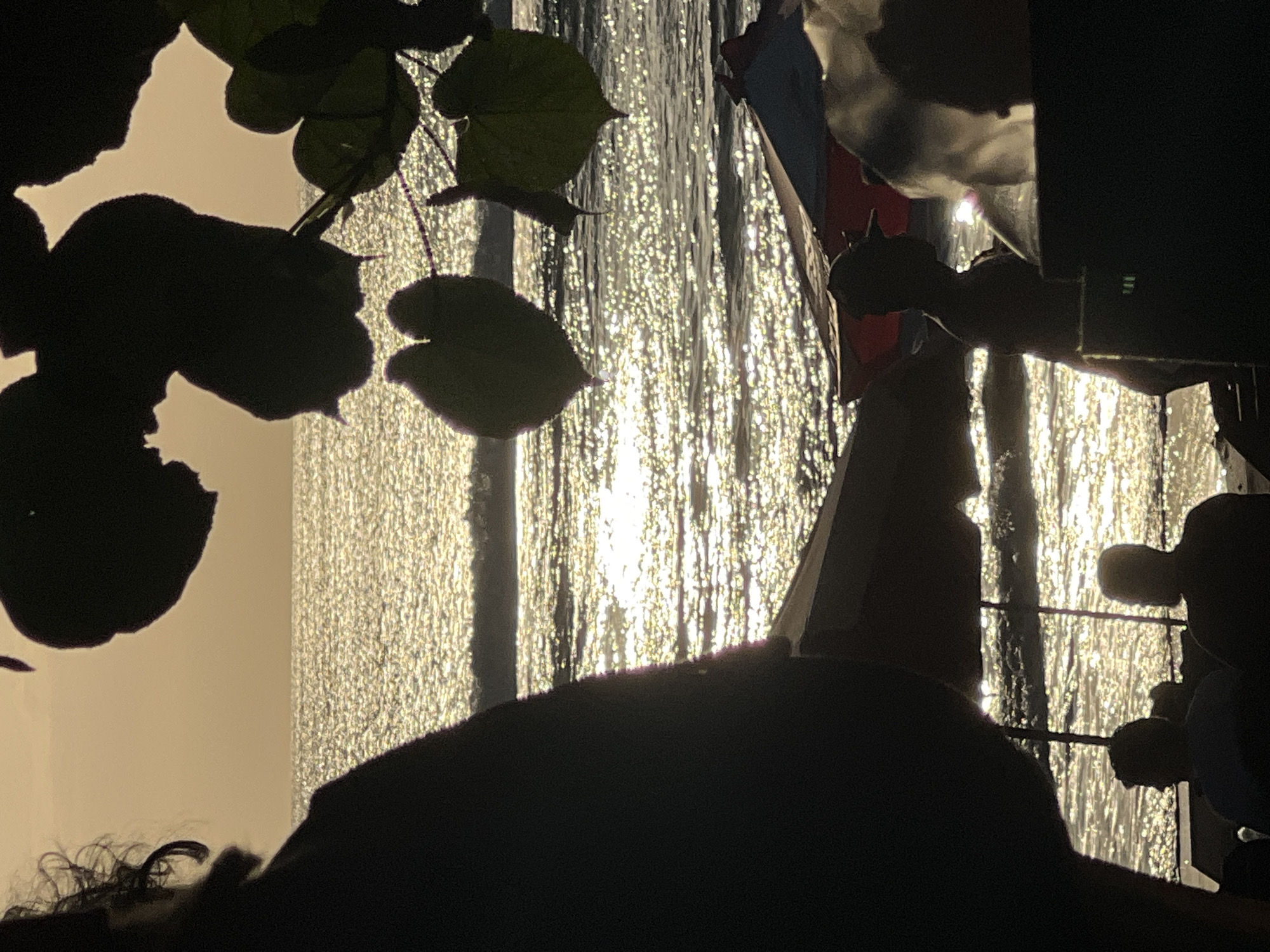The image depicts a silhouetted scene at sunset on the beach in Kuta, Indonesia. In the foreground, the silhouette of a person with curly hair is on the left, facing away from the camera. Overlapping this are dark silhouettes of large leaves from a plant obscuring the sky and a portion of the beach. In the midground, several beach umbrellas are visible, casting shadows. The ocean is in the background, with the setting sun creating a shimmering reflection on the water. Silhouettes of several people are visible sitting or standing behind the umbrellas, some appearing to be conversing.
