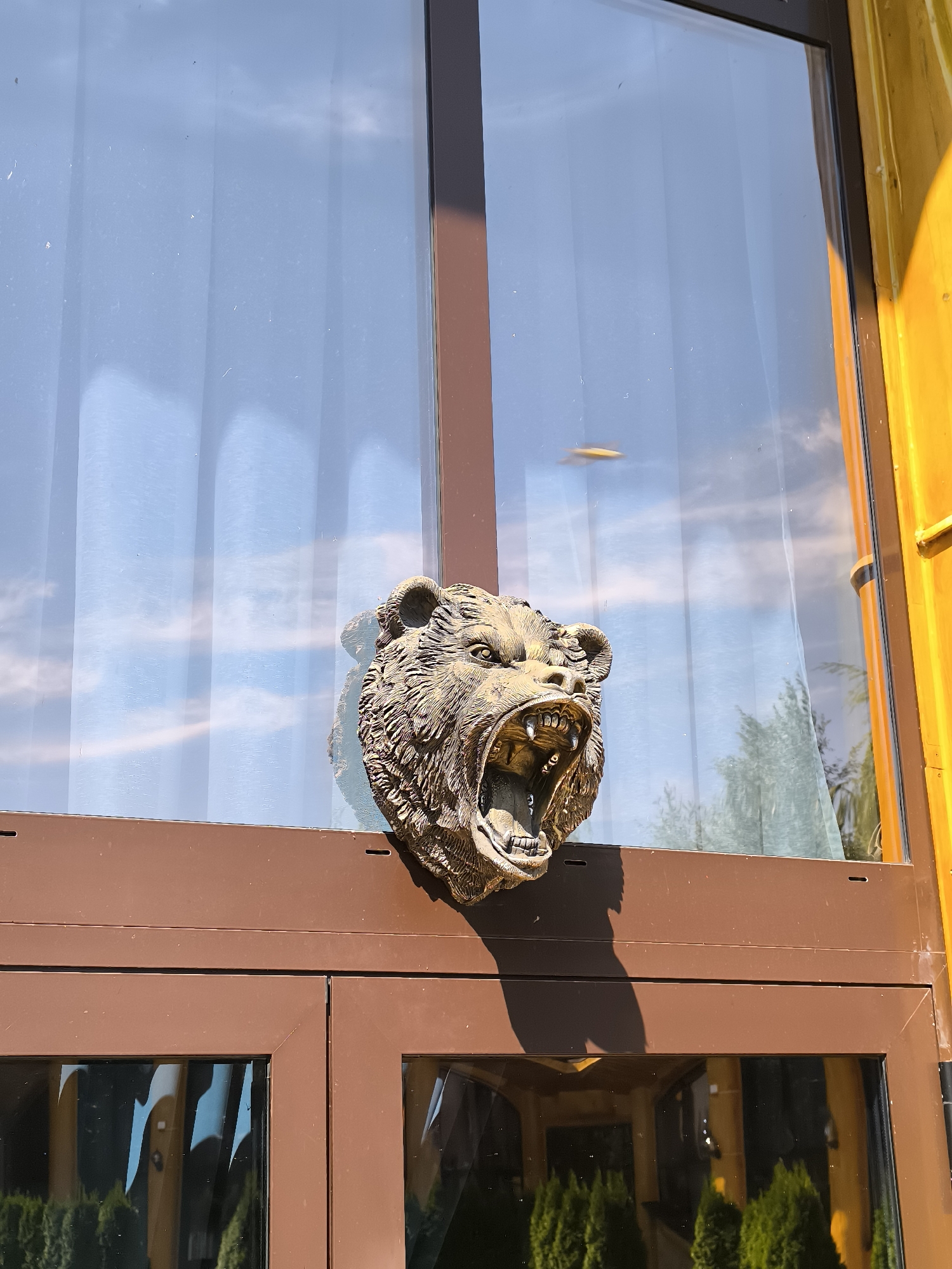 The image captures a close-up view of a decorative bear head mounted on a dark brown framed window, possibly on a building's exterior. The bear head is sculpted with an open mouth, revealing sharp teeth and a menacing expression. The window reflects a bright blue sky with wispy white clouds. To the right of the window, a bright yellow structure is partially visible. The lower part of the image shows the reflection of a doorway with several small, conical green trees. The context suggests this is a decorative element on a building, possibly in a commercial or residential setting. The mention of Malyy Baklaniy, Russia, would place this scene within that specific geographic location.